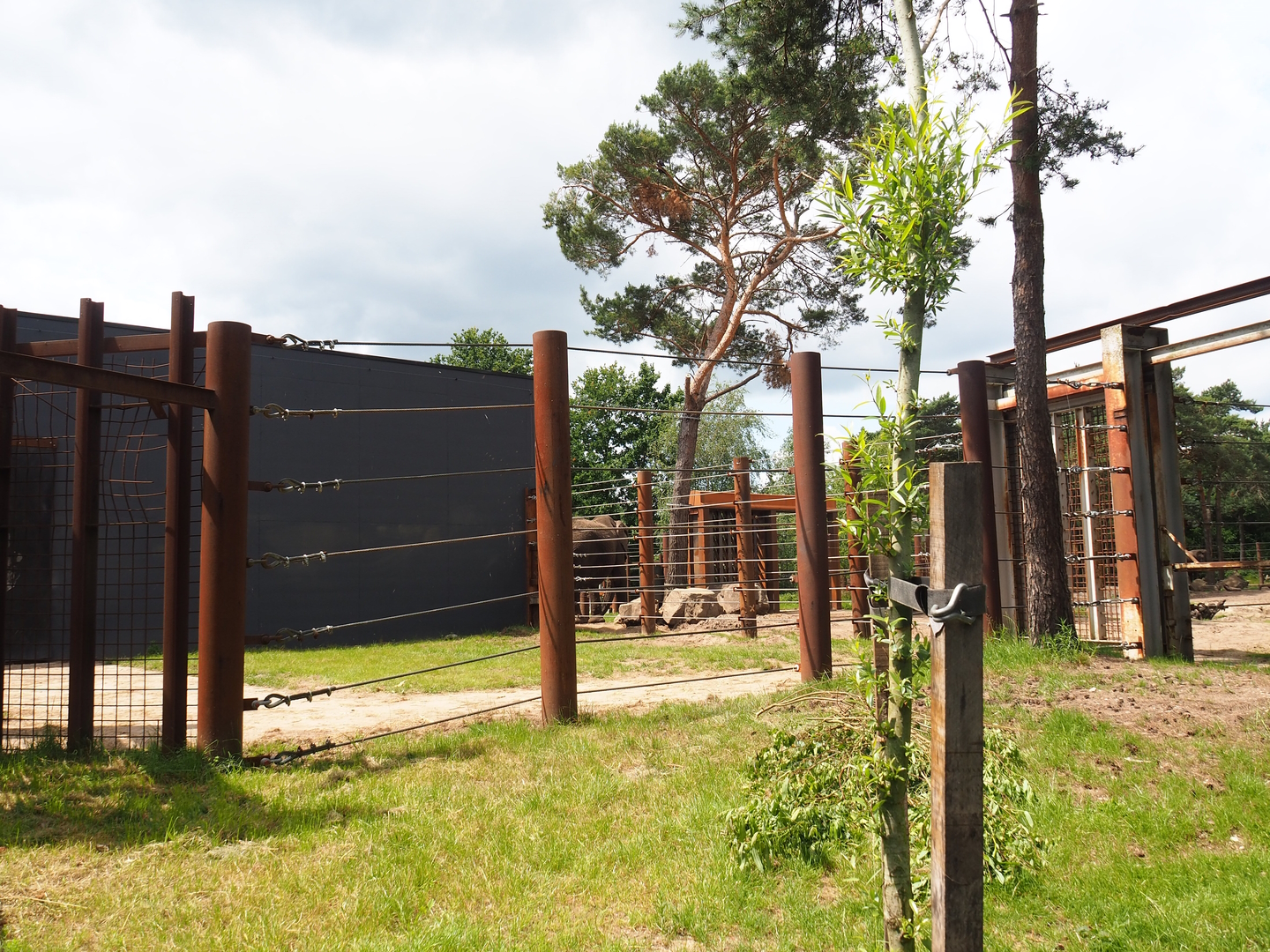African bush elephant separation paddock, 2022-06-12