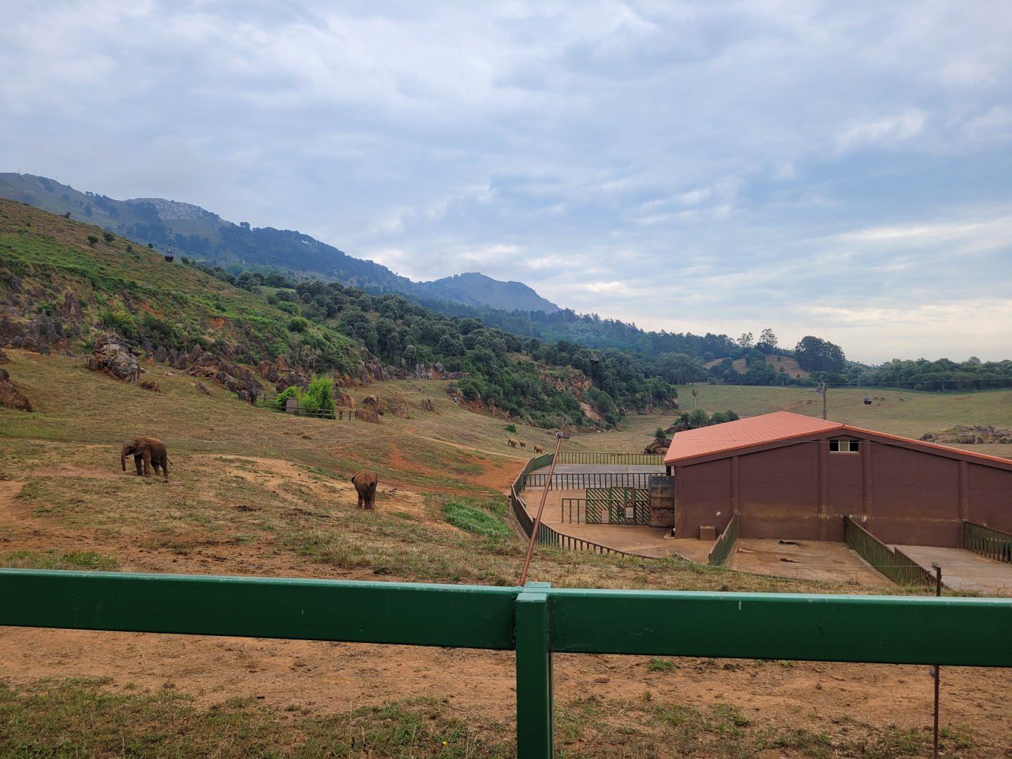African bush elephant, South-European water buffalo and Kafue flats lechwe exhibit -Parque de la Naturaleza de Cabárceno (2022)
