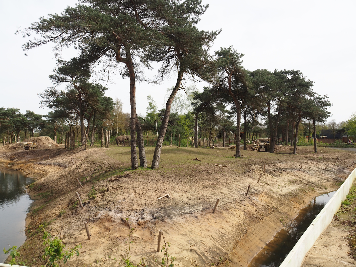 African bush elephant valley with elephants, Defassa waterbuck and Nile lechwes, 2024-04-06