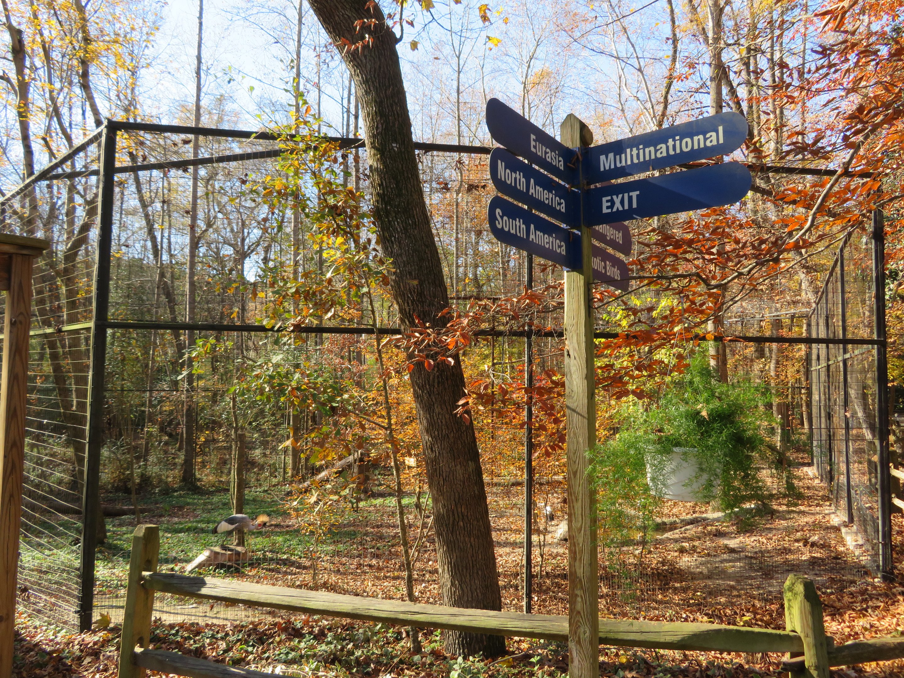 African Cage and Road Sign