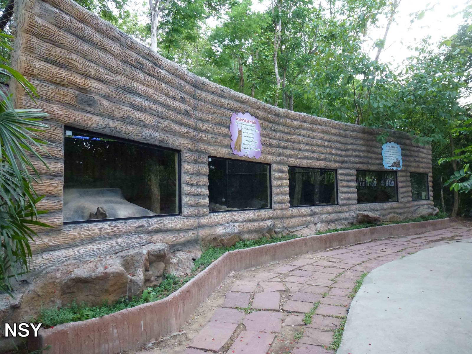 African cat viewing area, June 2013.