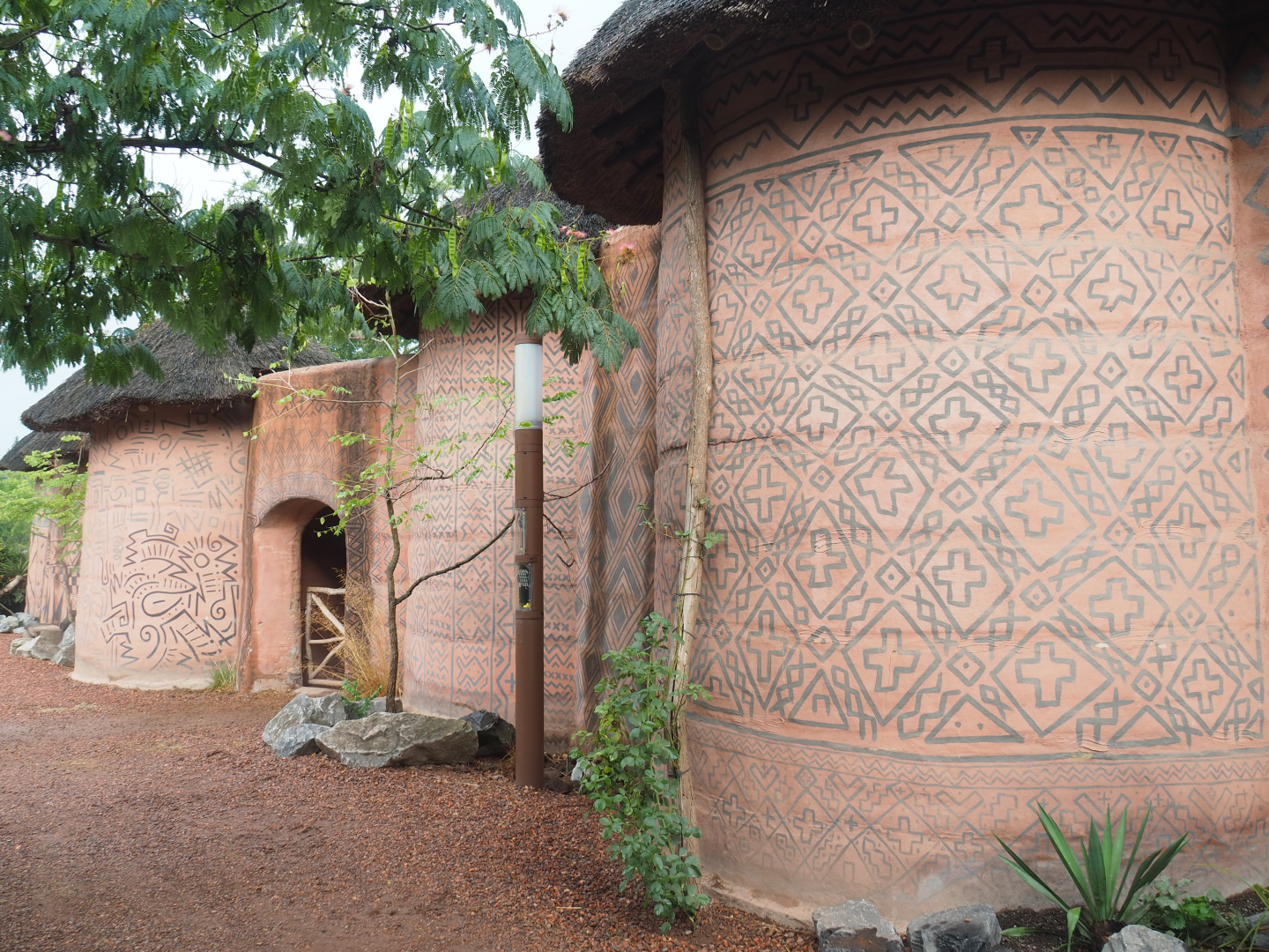 African cattle and ostrich barn, 2022-09-15