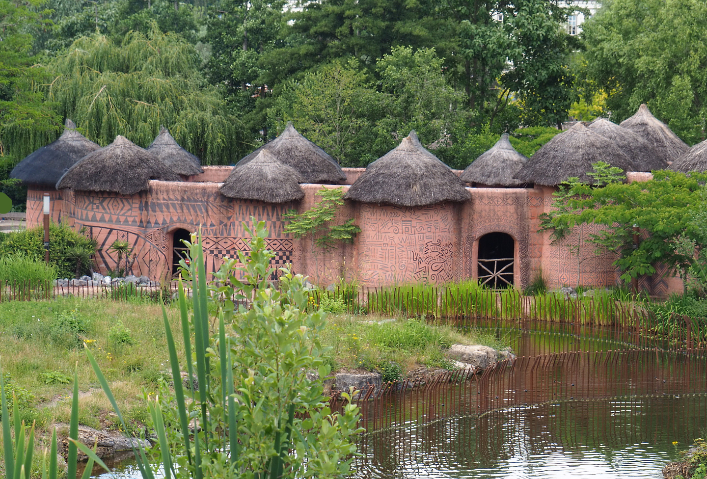 African cattle, Ostrich and Red river hog stable building, 2022-06-28