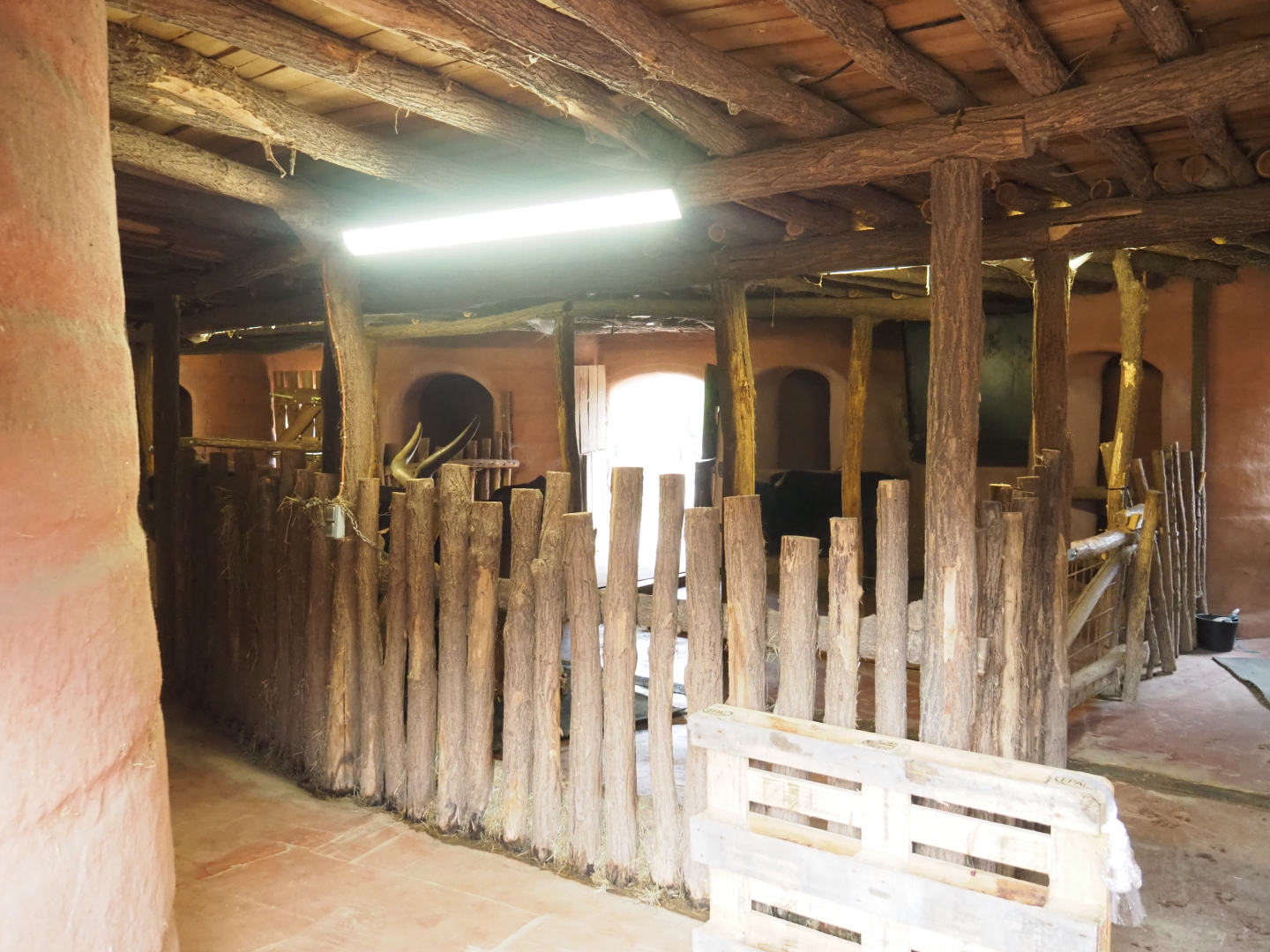 African cattle stables, 2022-09-15