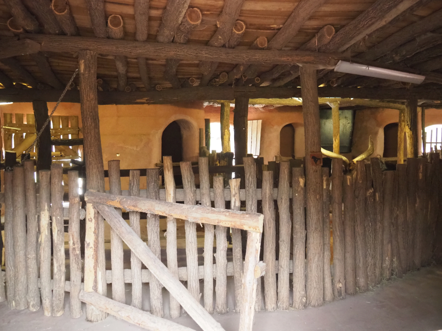 African cattle stables, 2022-09-15