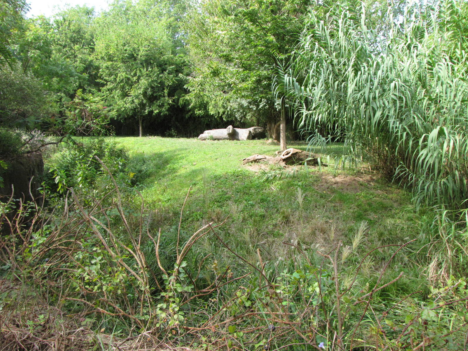 African Cheetah Habitat - Rivers Edge