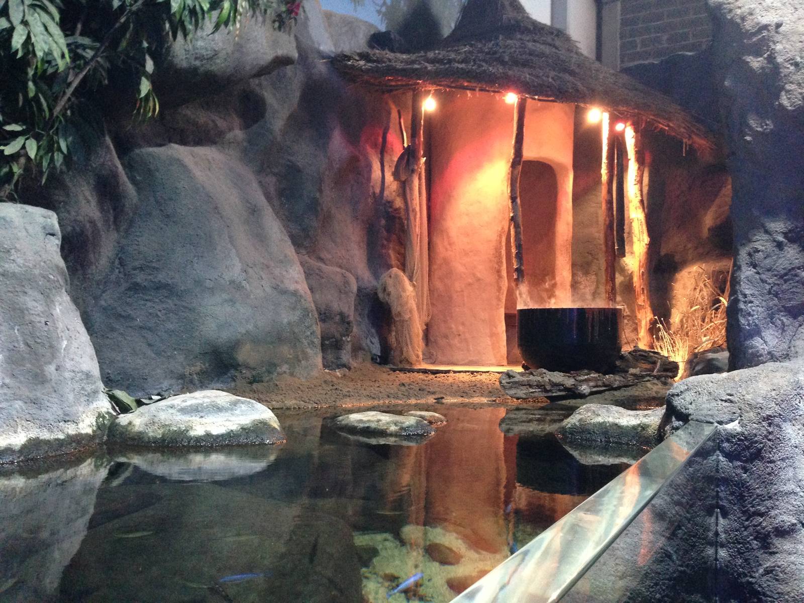 African Cichlid Tank at Blue Planet Aquarium - 05/10/2013