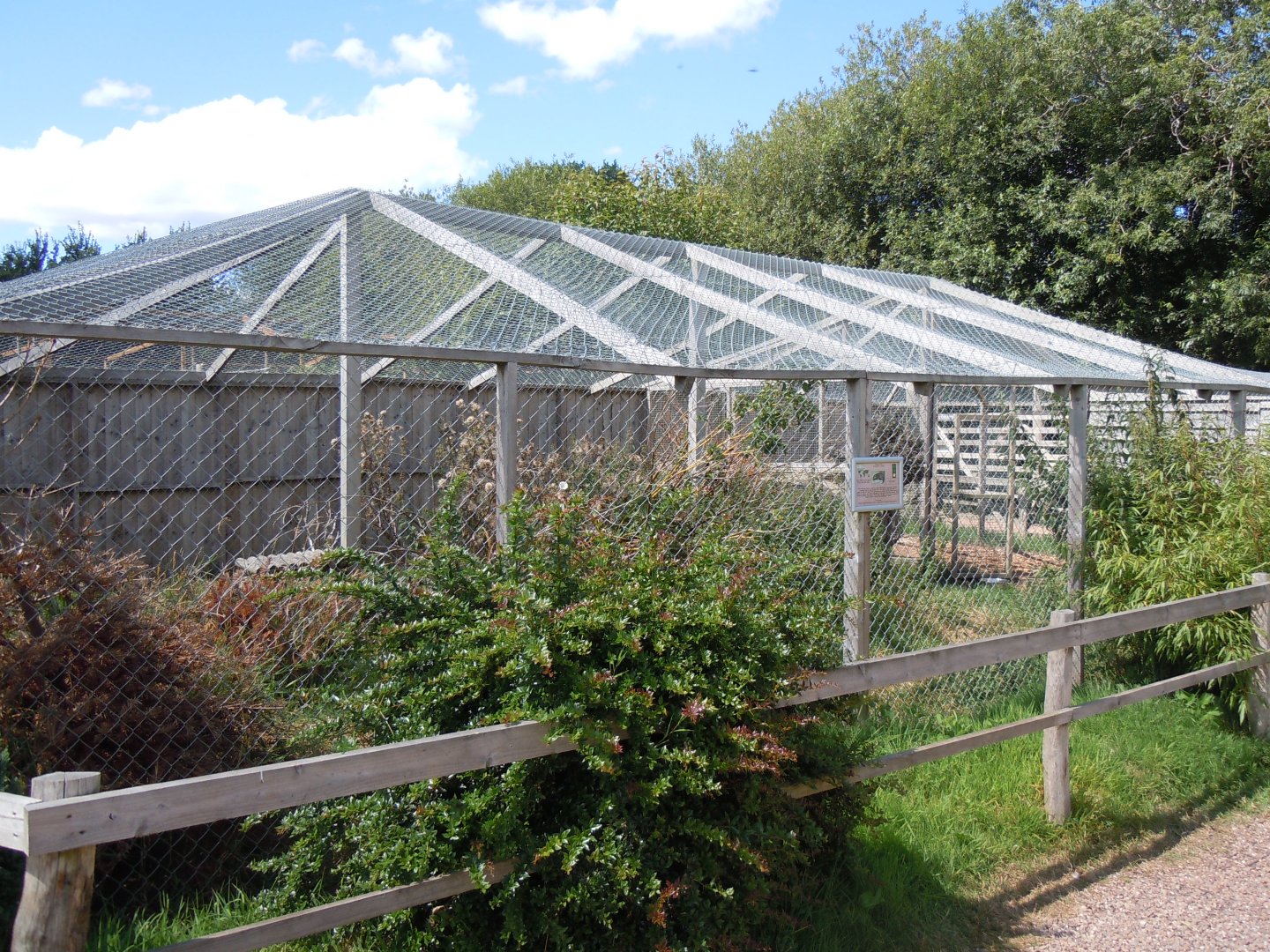 African civet enclosure 030820