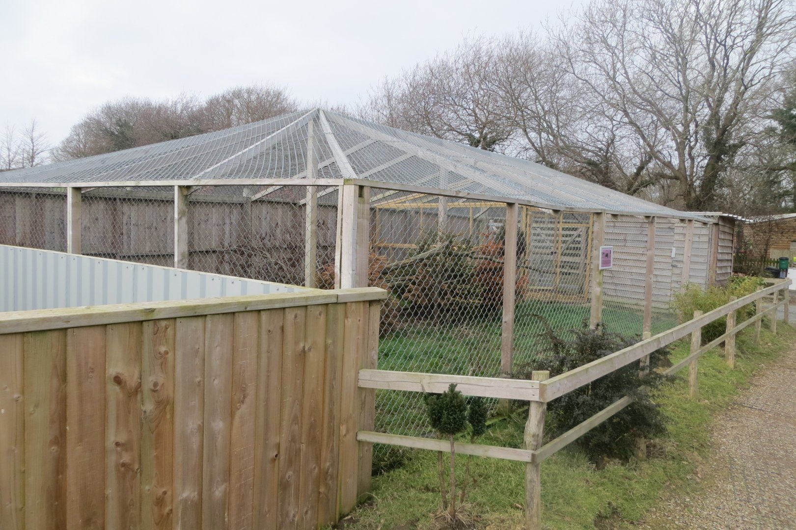 African civet enclosure 170219