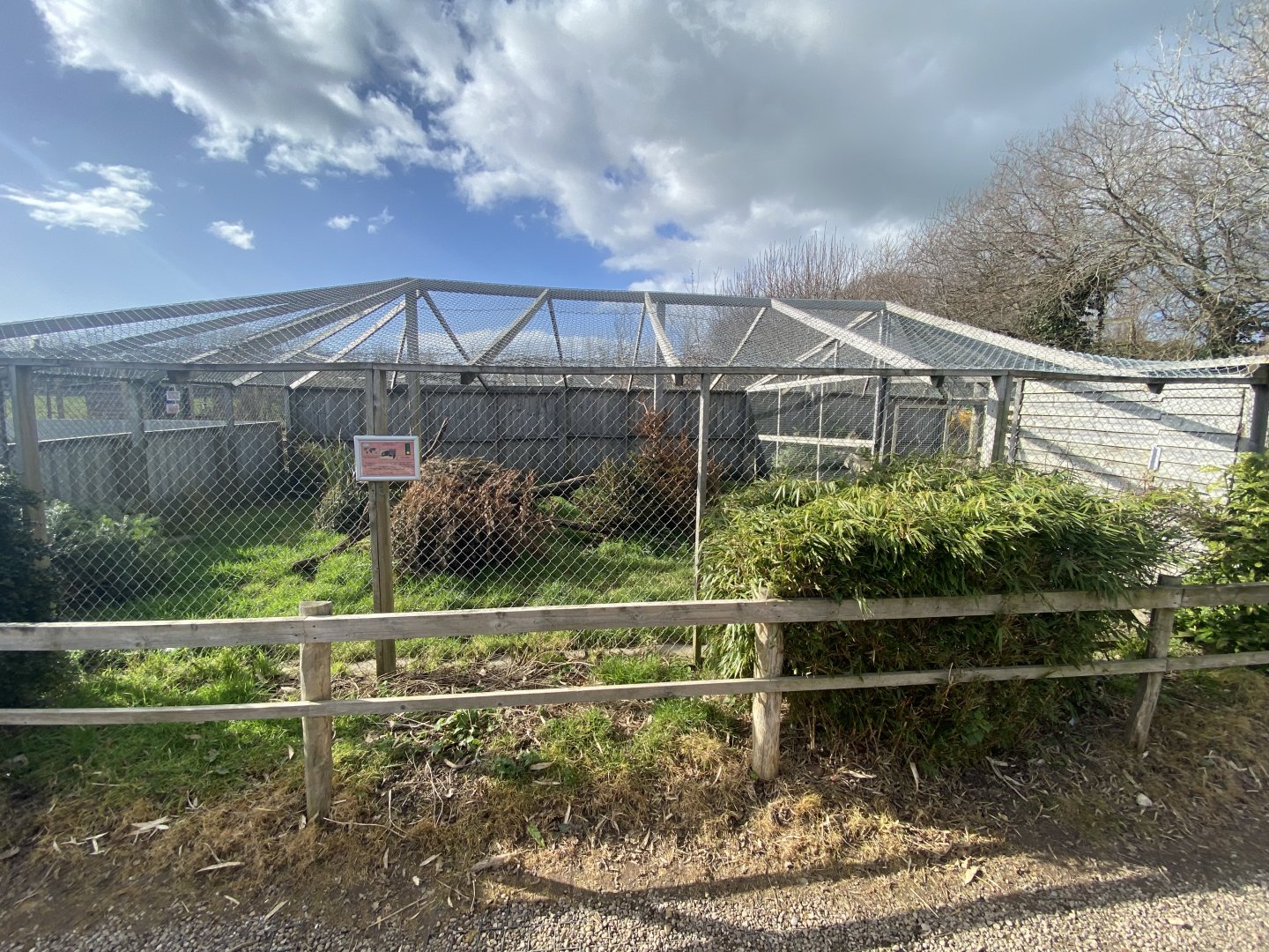 African civet enclosure 250222