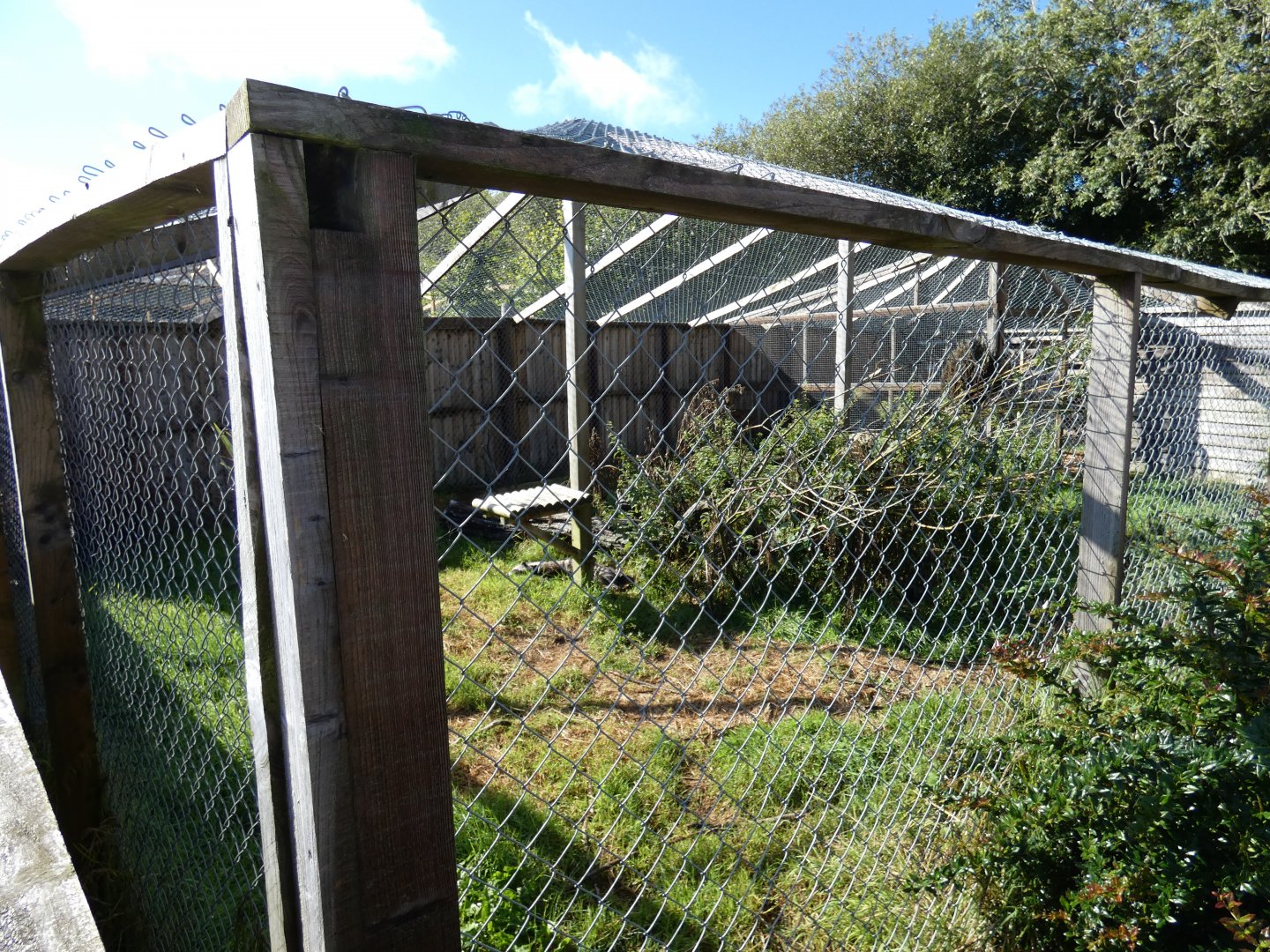 African Civet enclosure