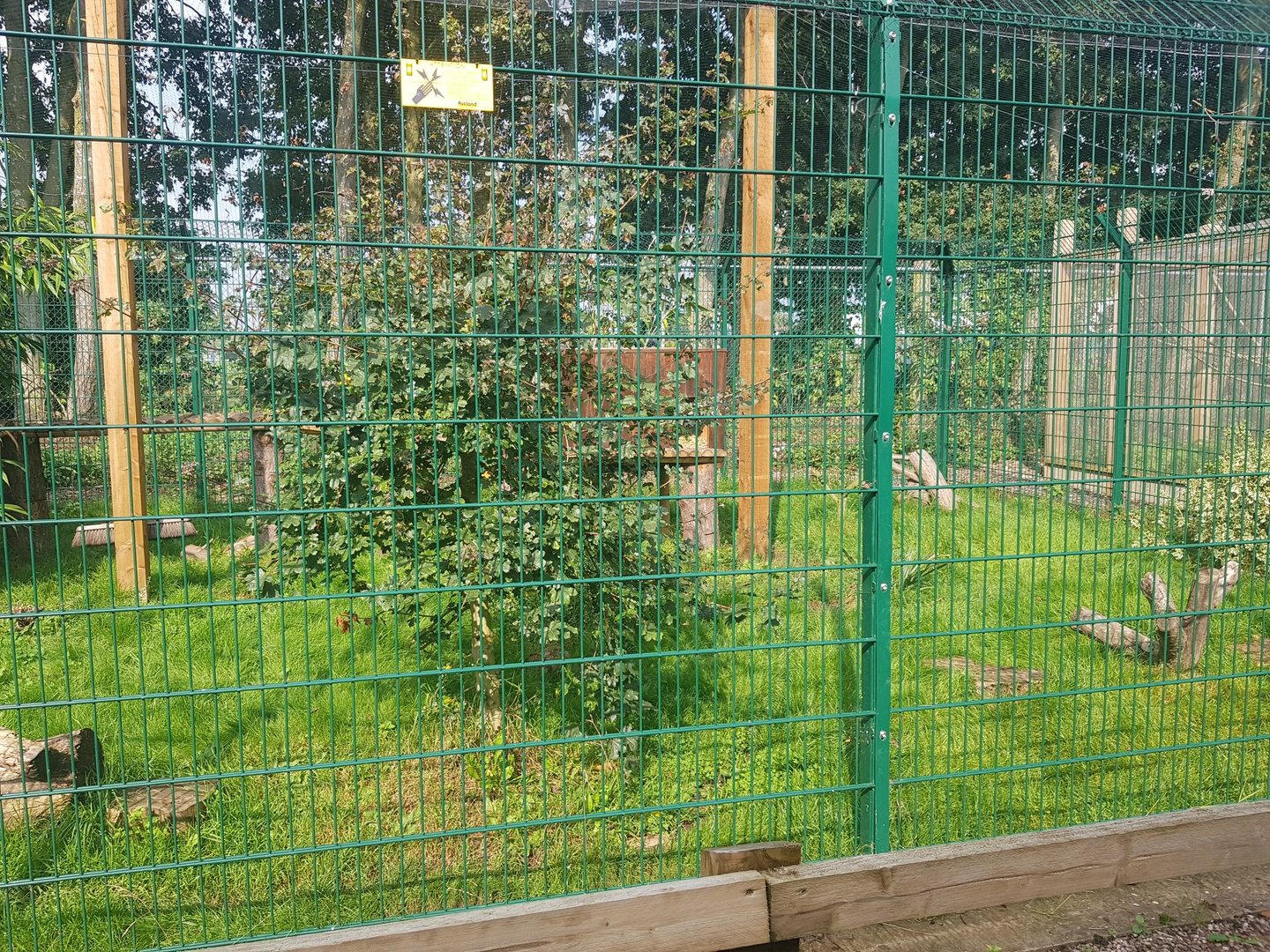 African Civet Enclosure