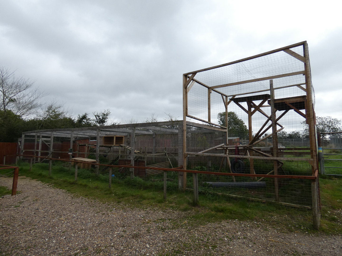 African civet enclosure