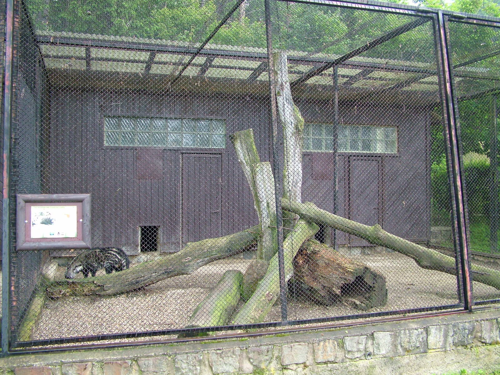 African Civet exhibit at Olomouc 30/05/09