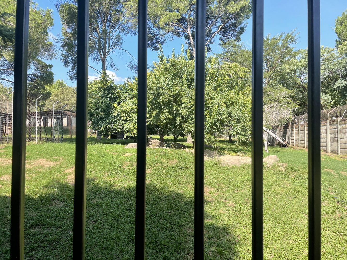 African Civet Exhibit