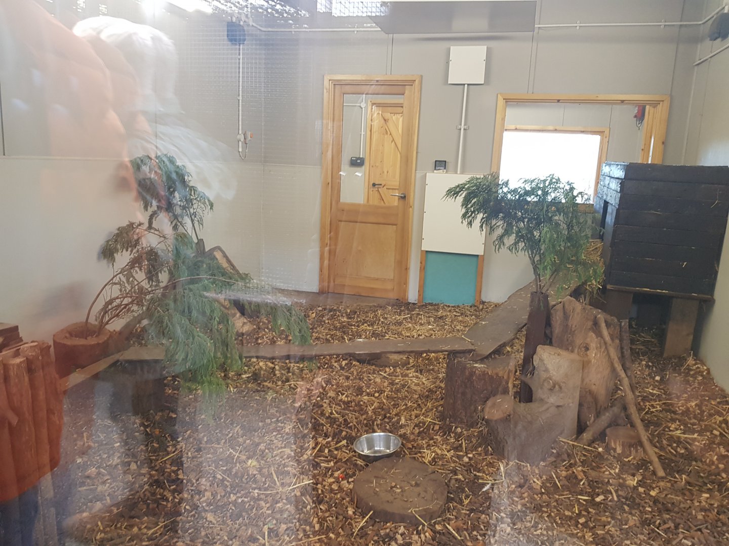 African Civet Indoor Enclosure