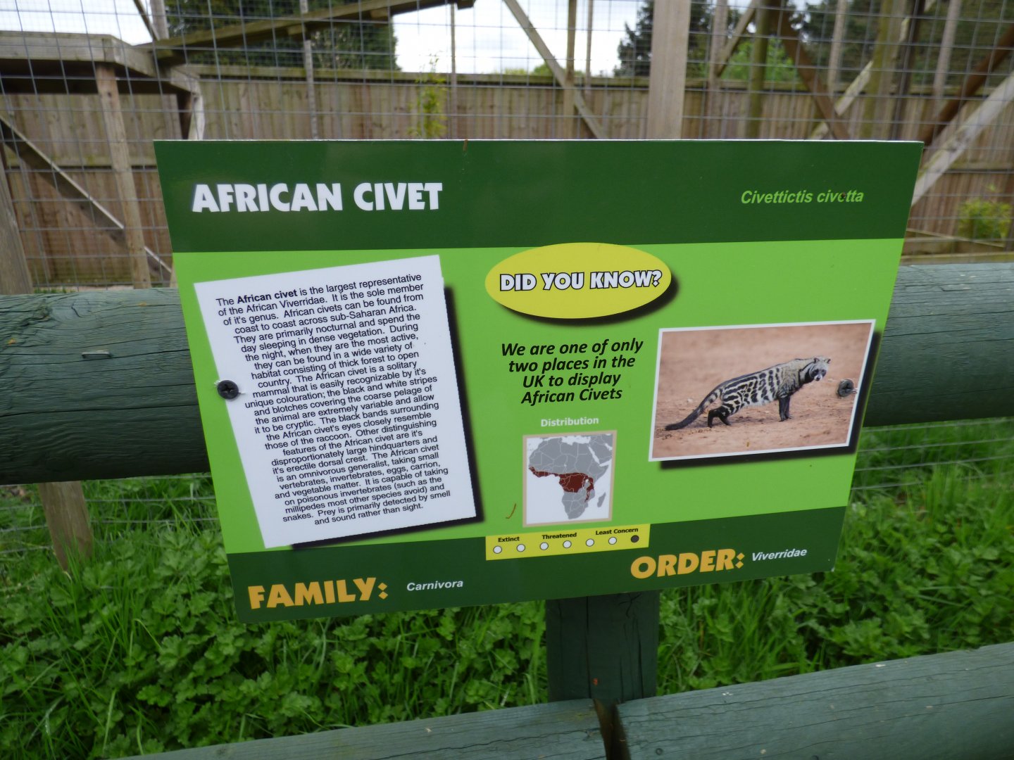 African Civet Signage
