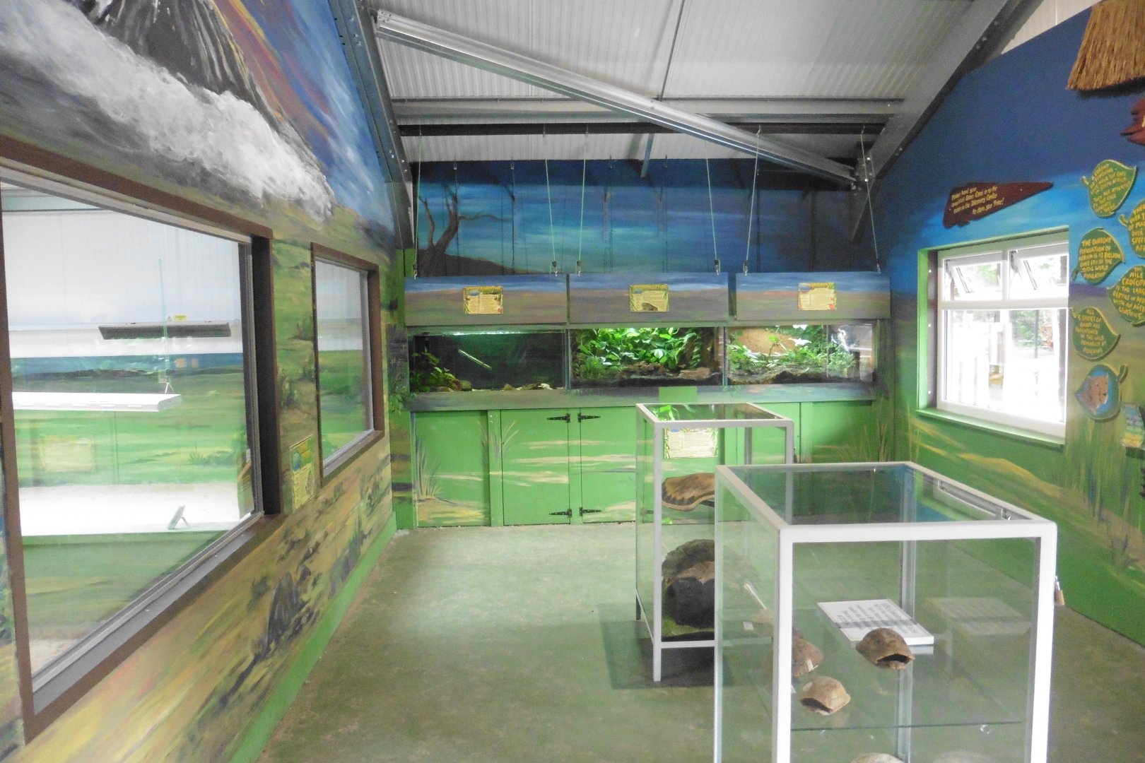 African Clawed Frog,African Bullfrog,Golden Mantella (l-r)