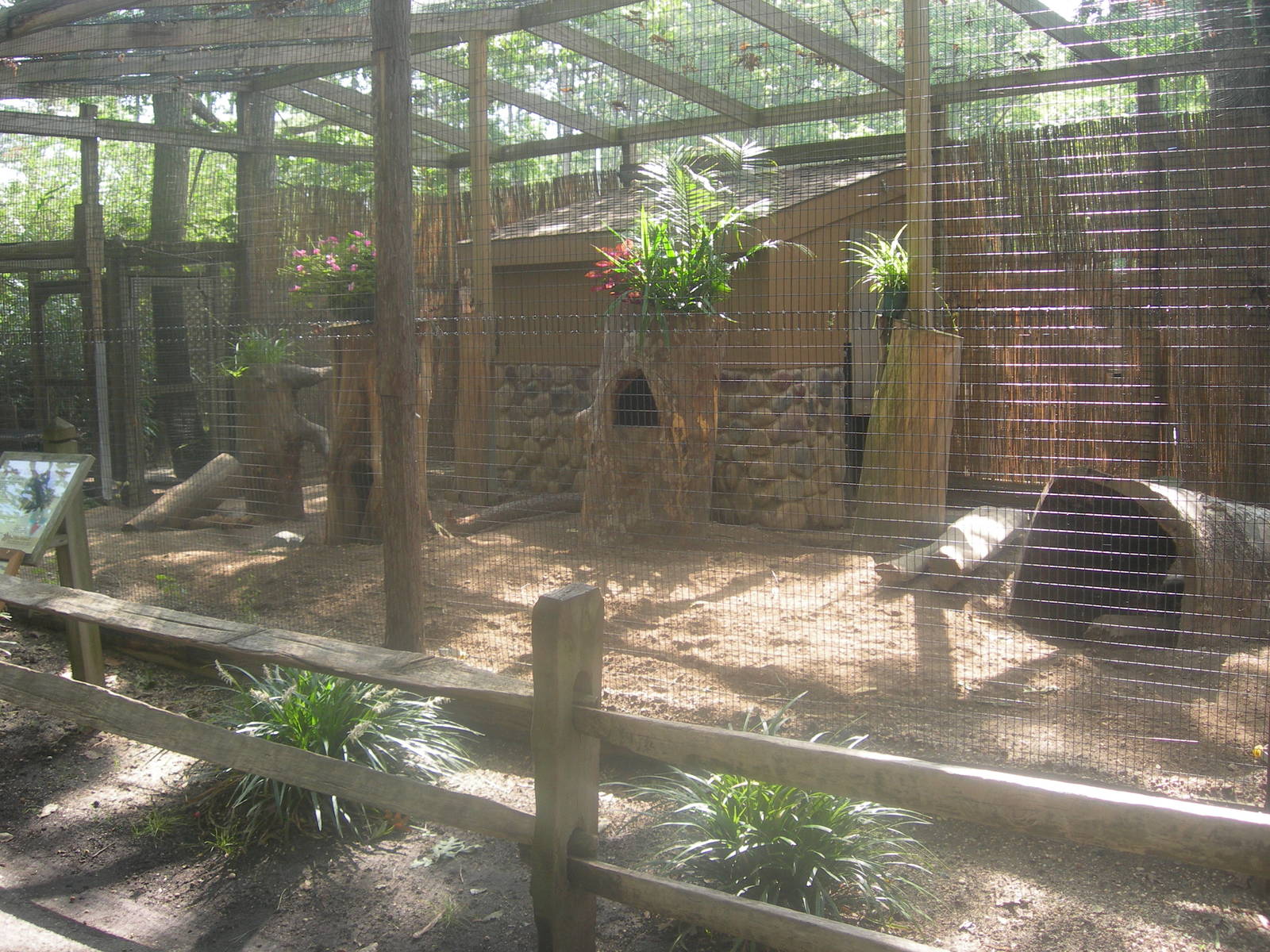 African Crest Porcupine Exhibit