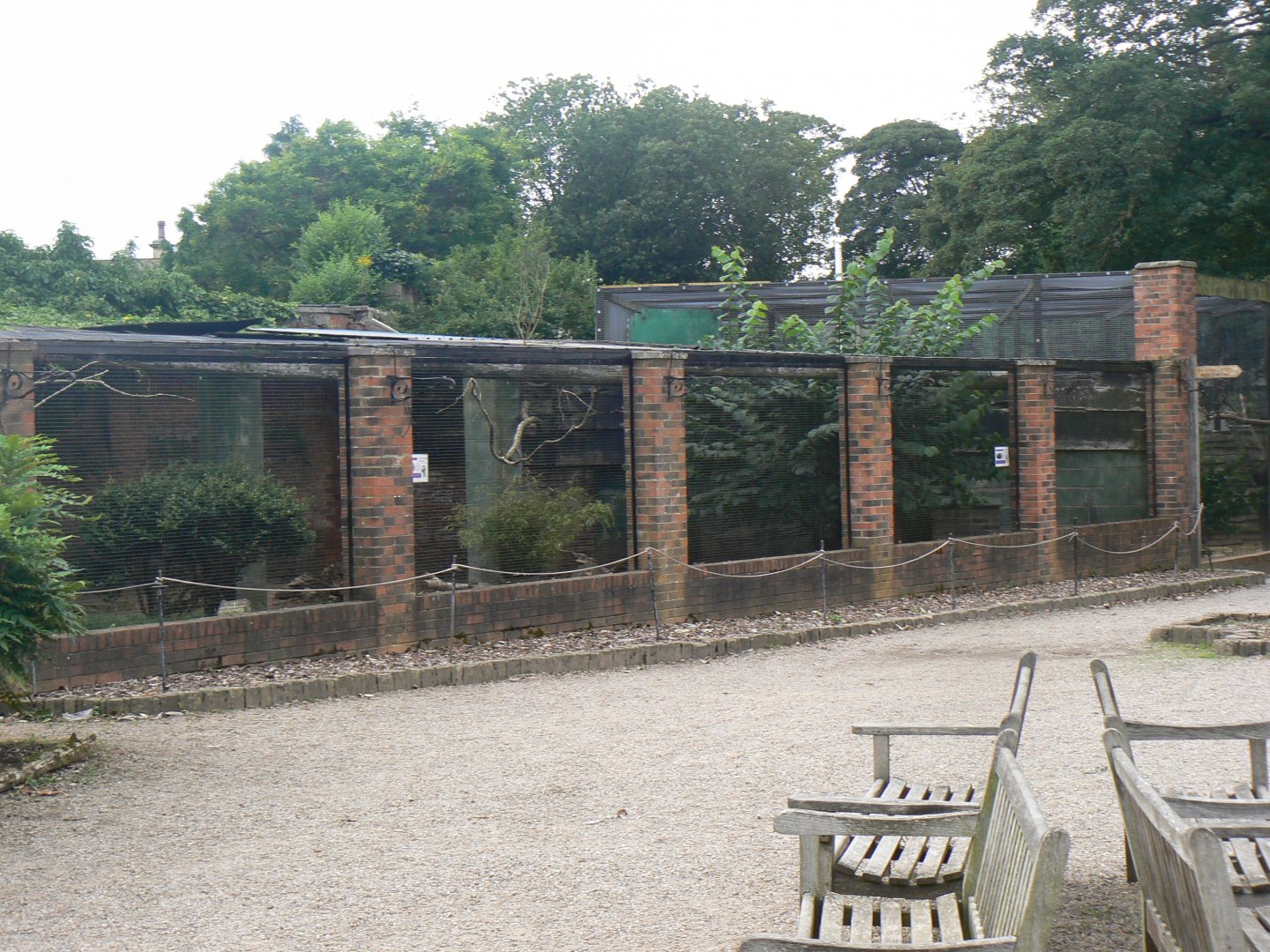 African Crested Porcupine enclosure - 11 August 2019