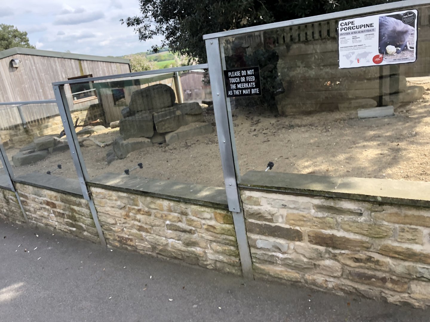 African Crested Porcupine Enclosure at Cannon Hall Farm (May 2022)