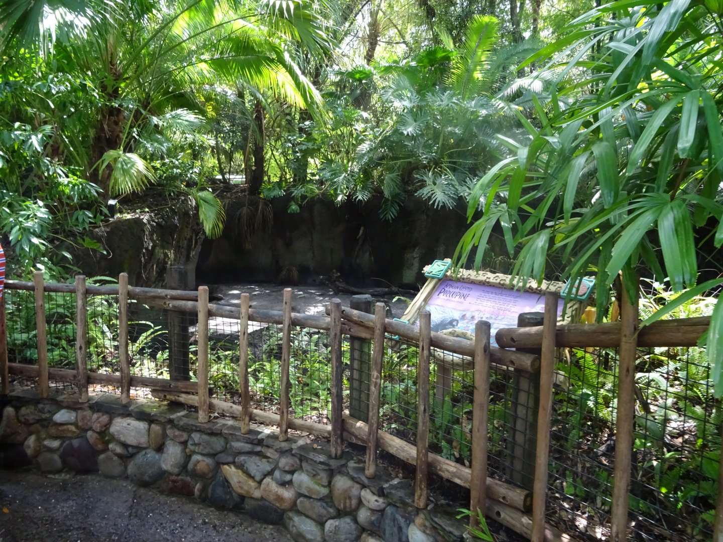 African Crested Porcupine Enclosure at Disney's Animal Kingdom (2014)