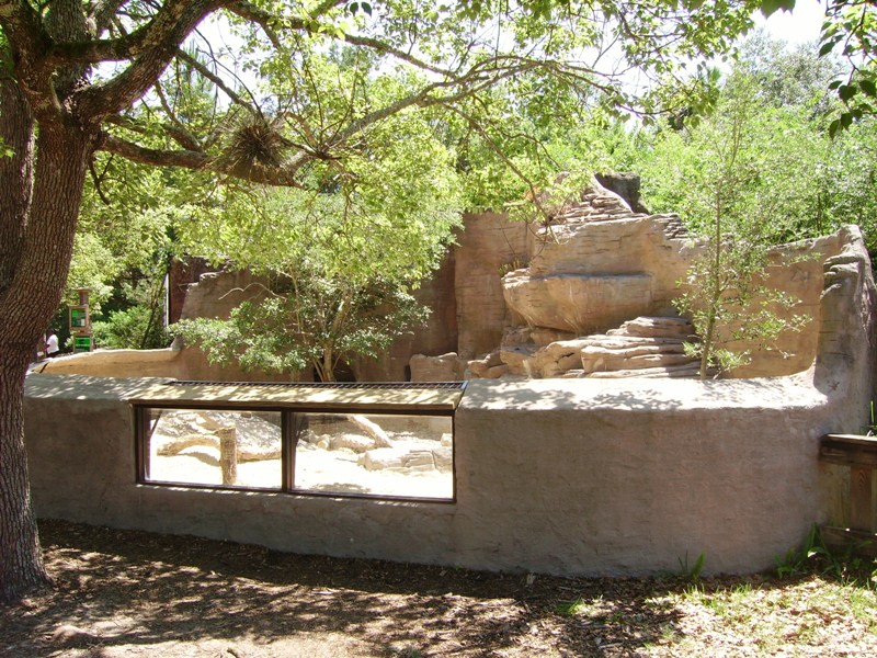 African Crested Porcupine Enclosure