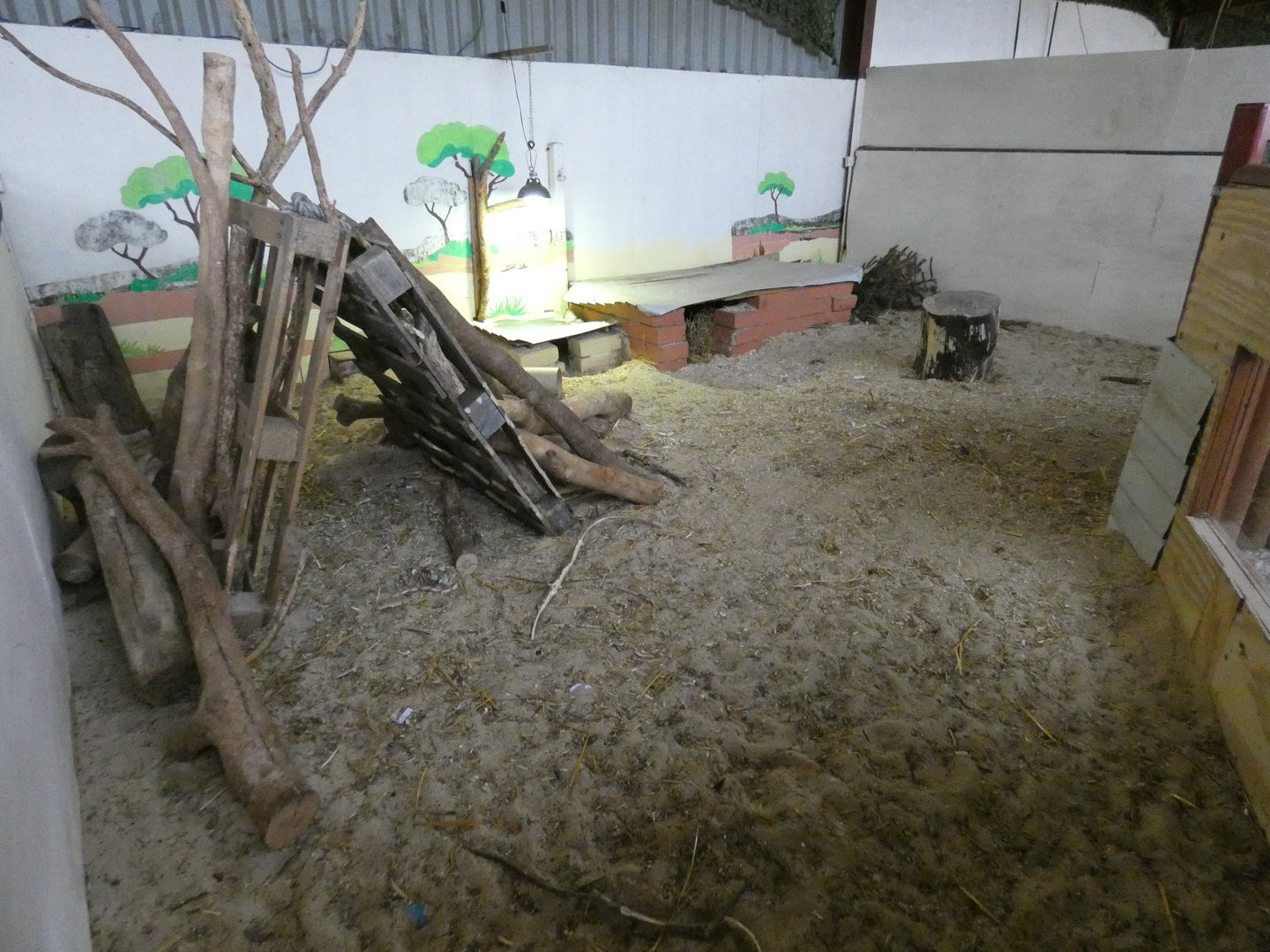 African crested porcupine enclosure