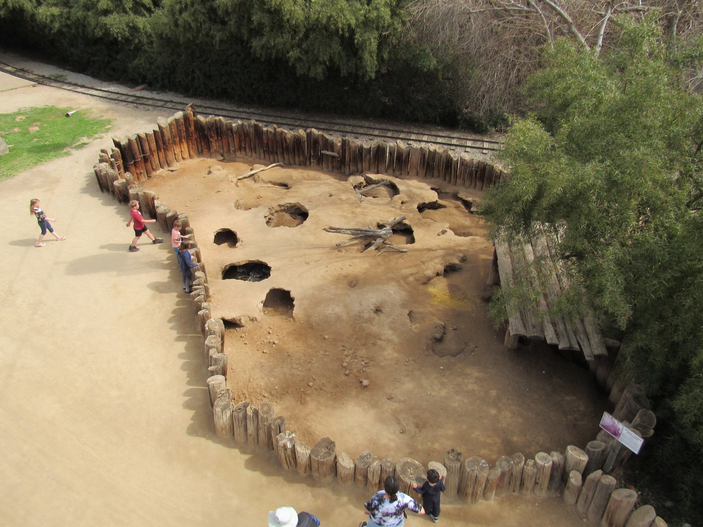 African Crested Porcupine Exhibit from Sky Ride - 3/6/23