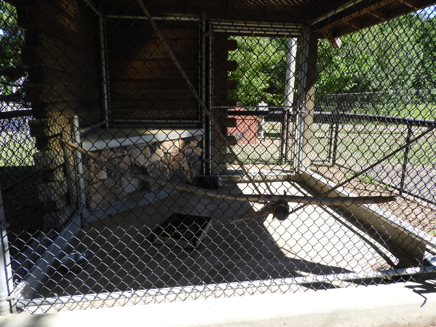 African Crested Porcupine exhibit - Wisconsin Rapids Municipal Zoo