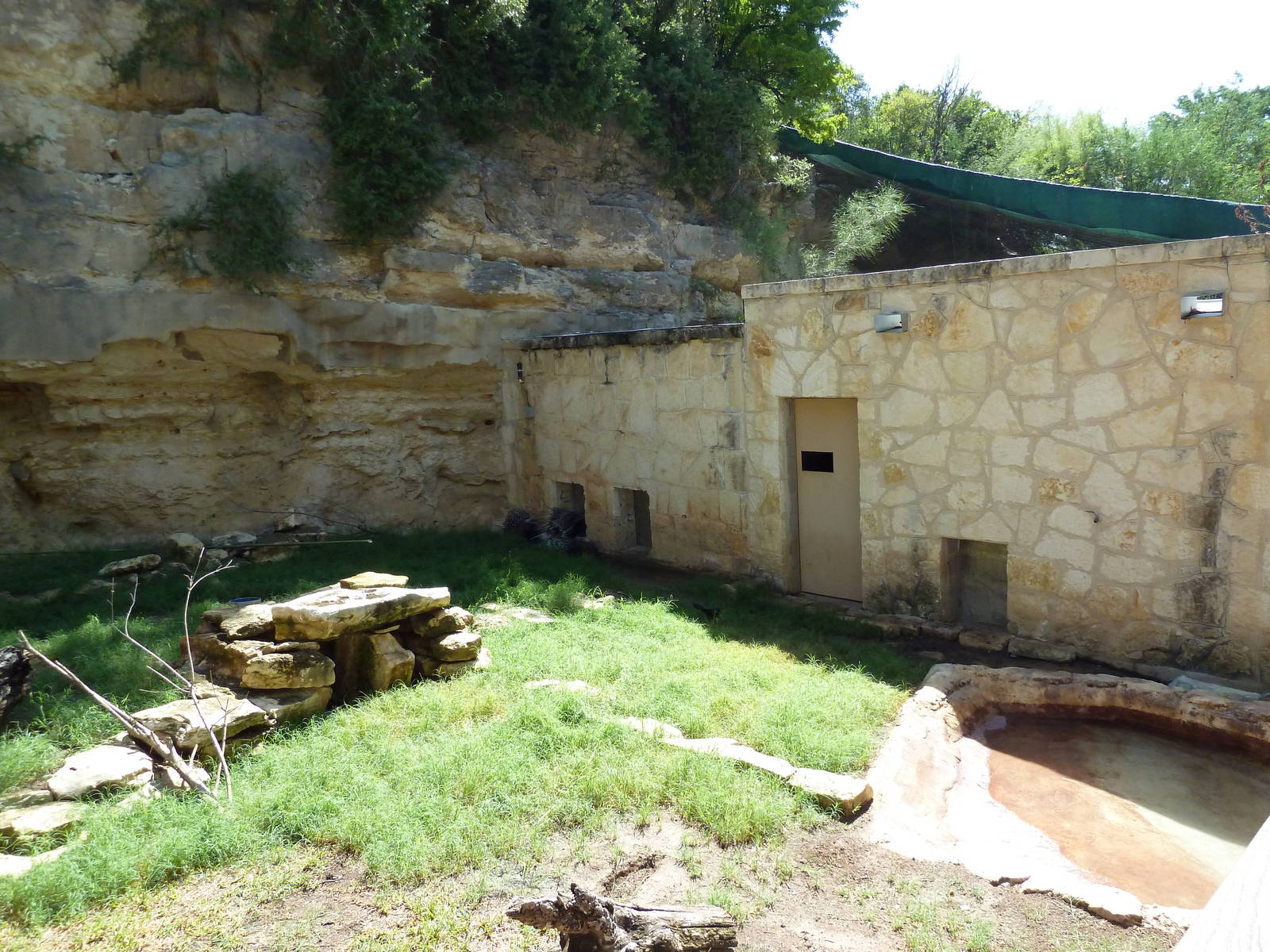 African Crested Porcupine Exhibit