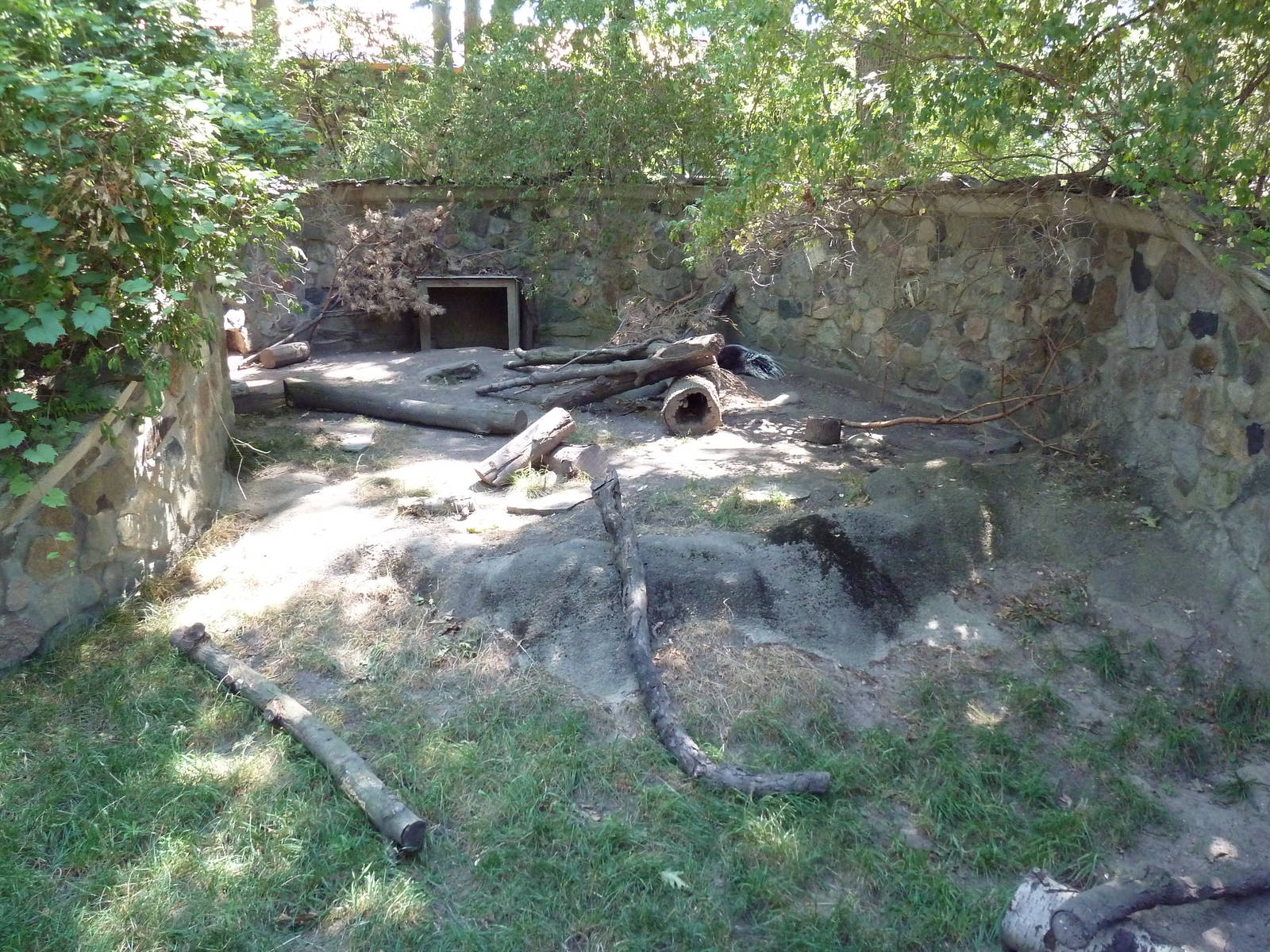 African Crested Porcupine Exhibit