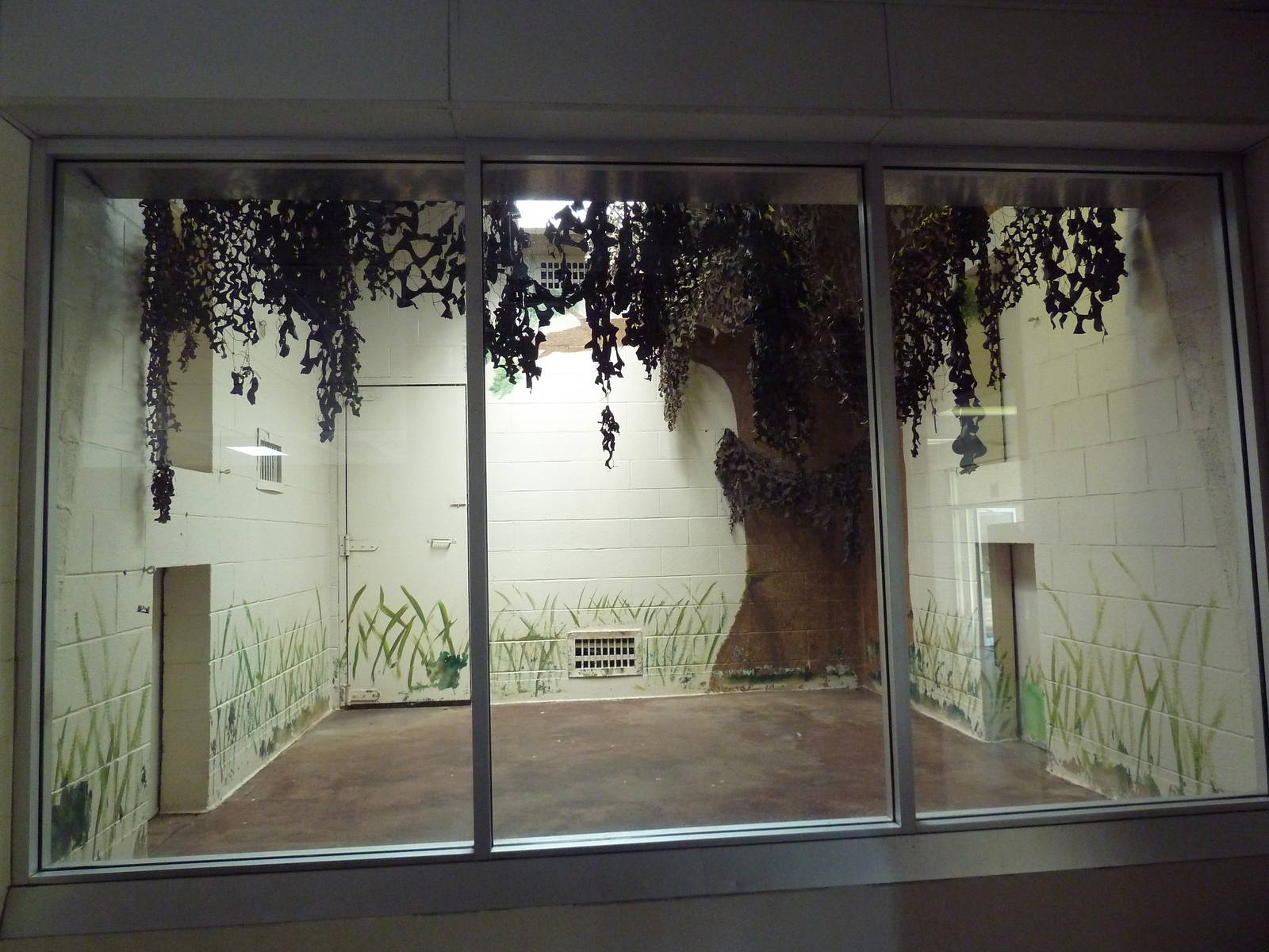 African Crested Porcupine Exhibit