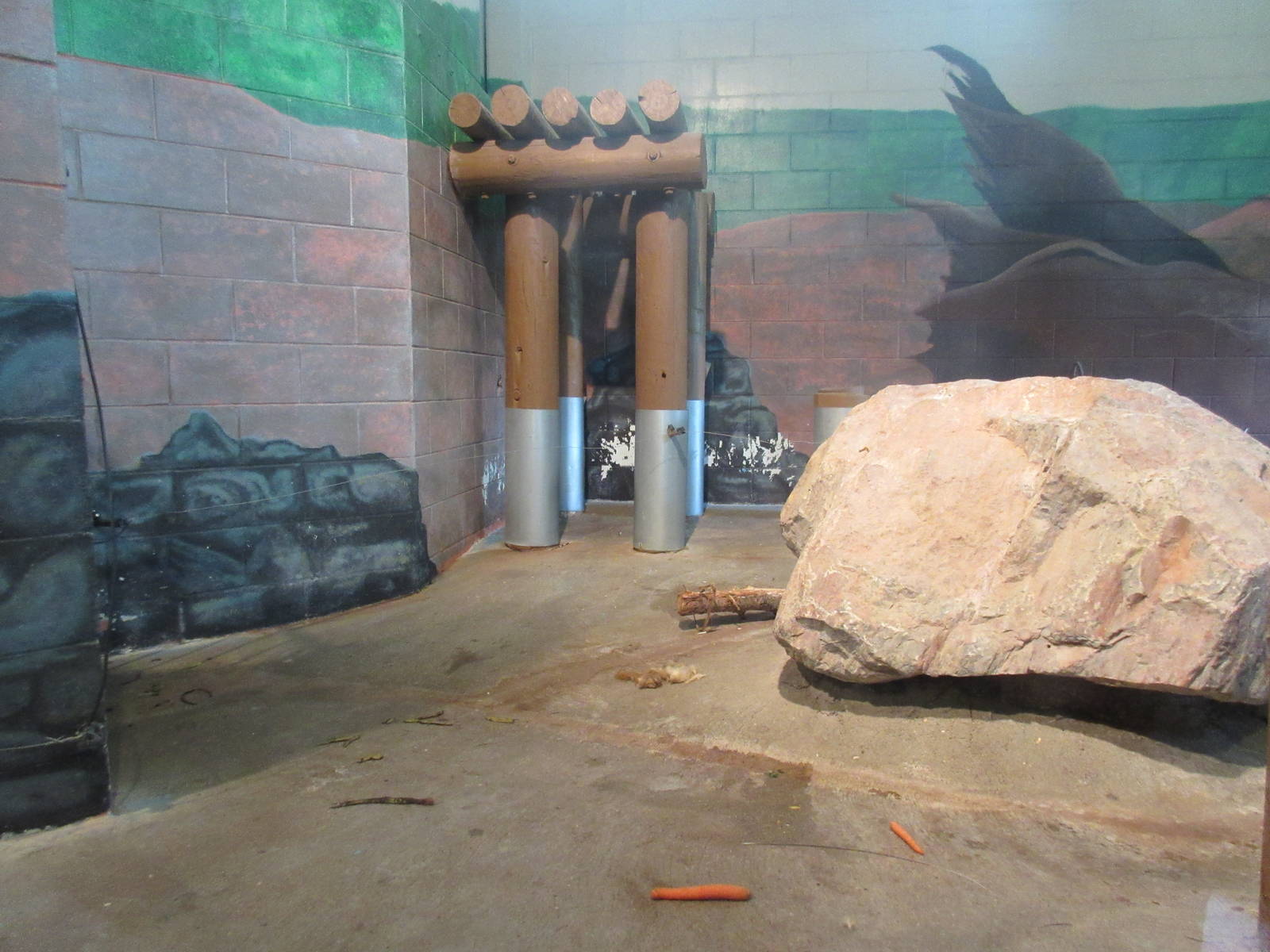 African Crested Porcupine Exhibit