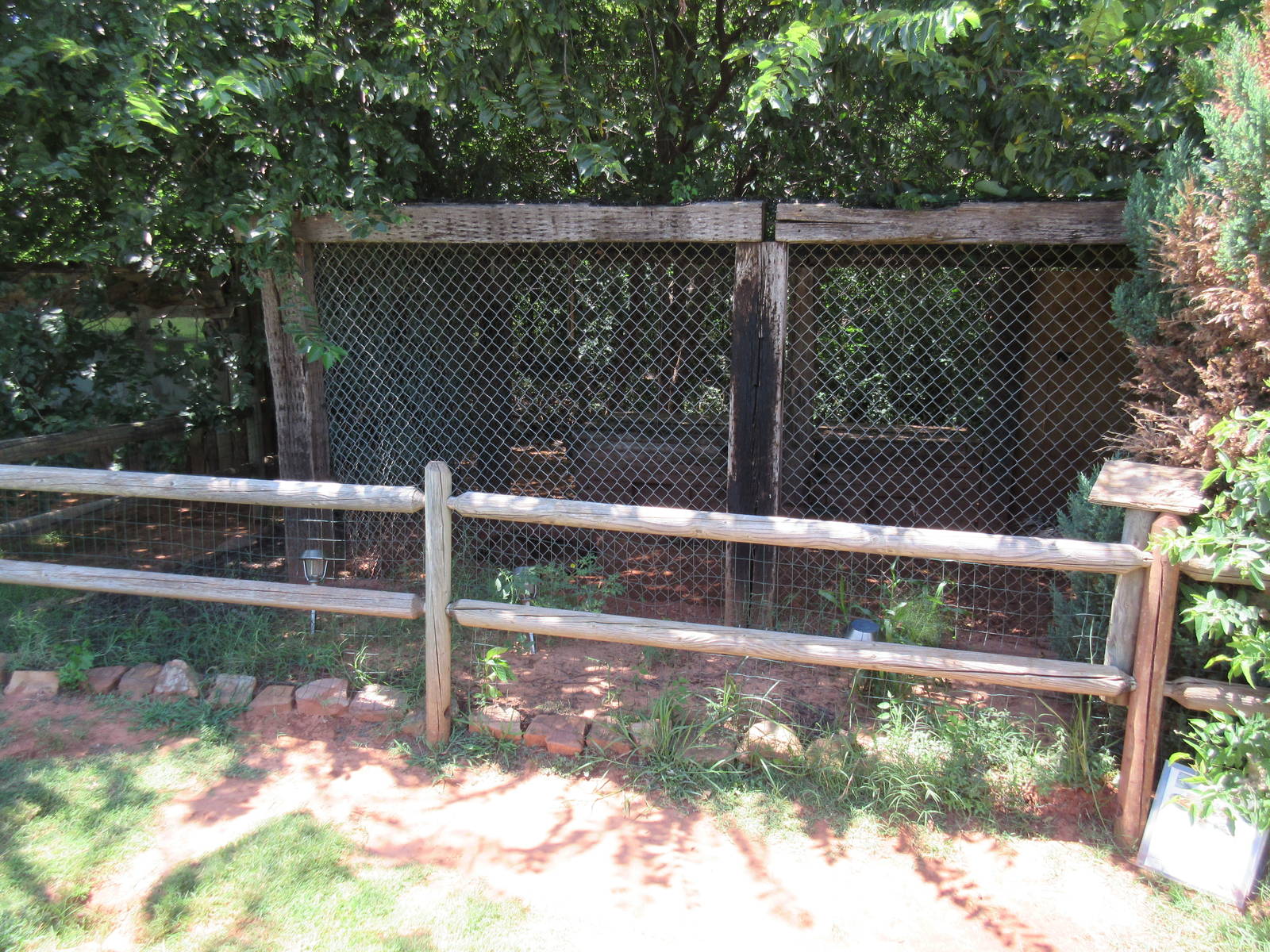 African Crested Porcupine Exhibit