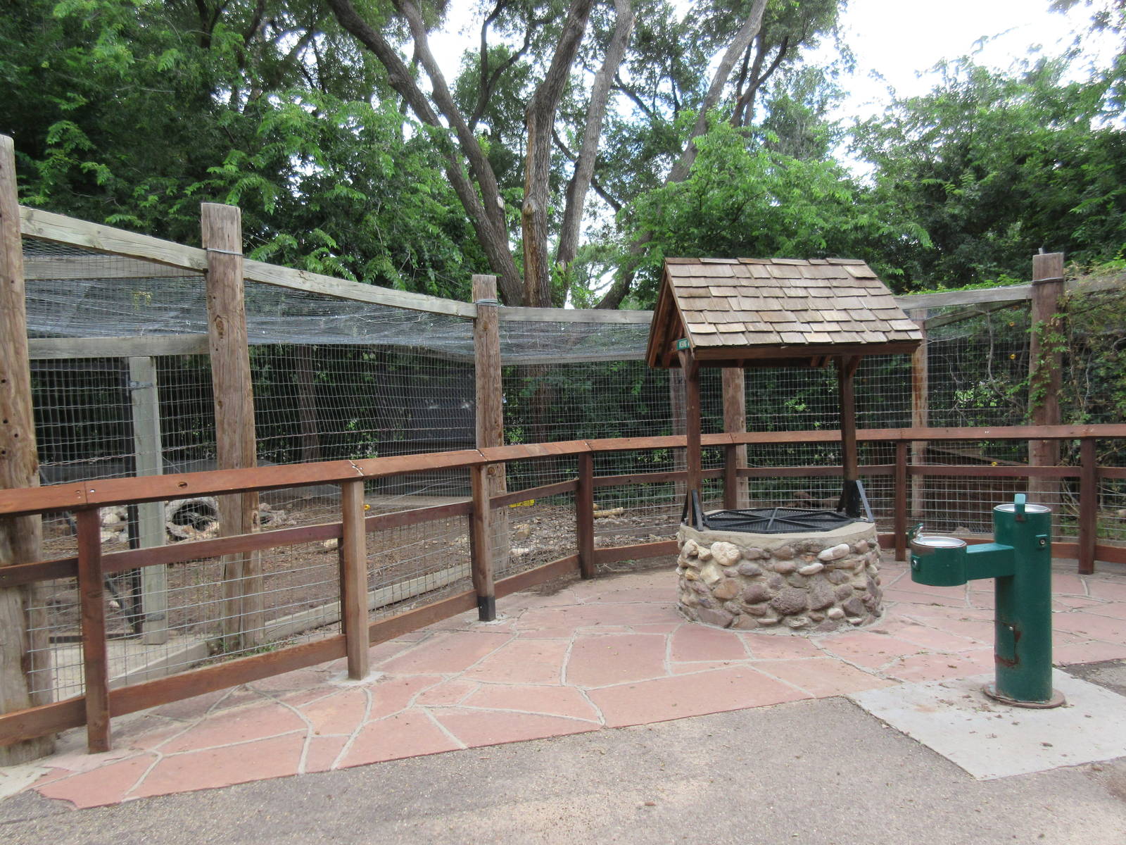 African Crested Porcupine Exhibit