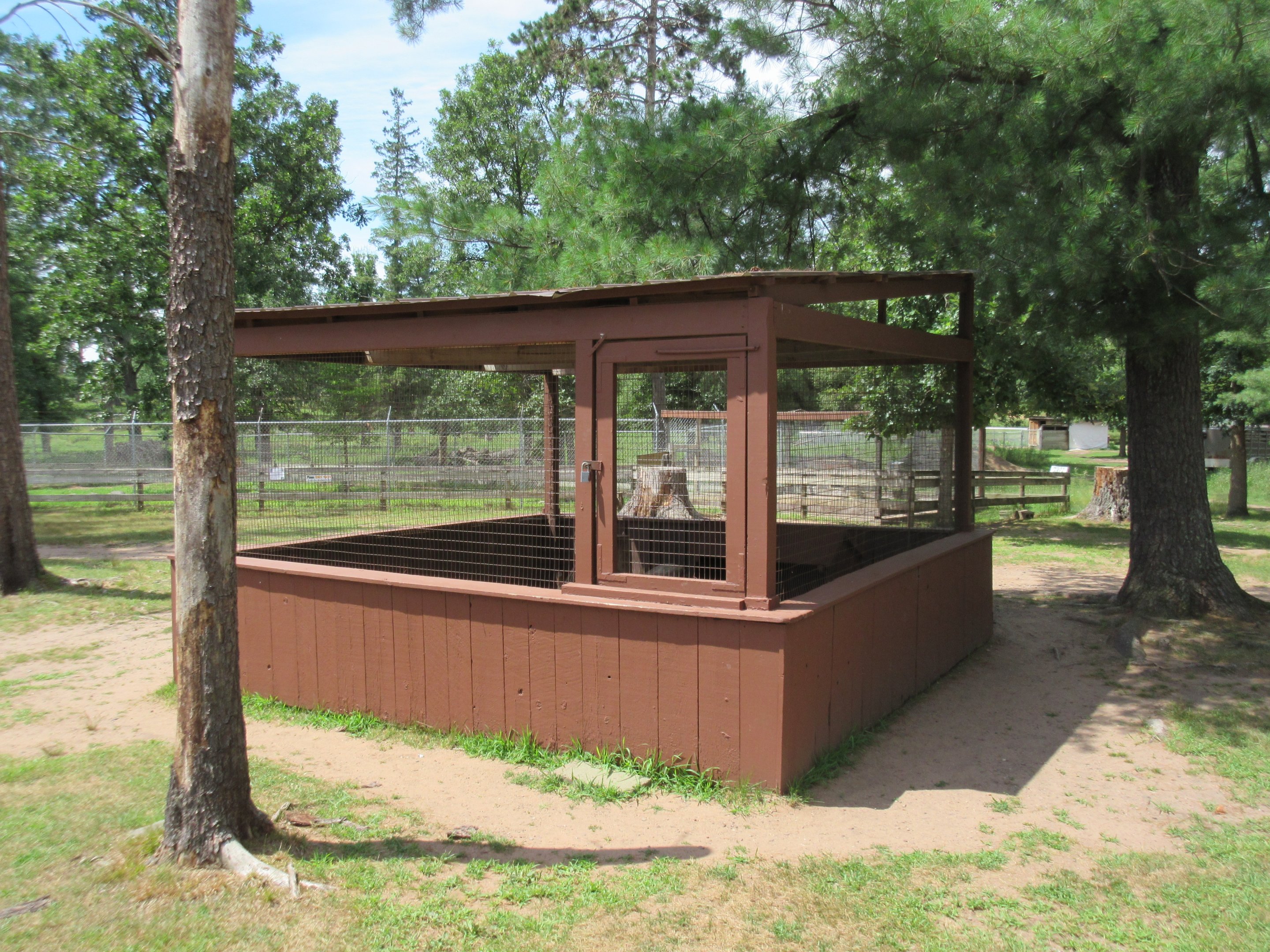 African Crested Porcupine Exhibit