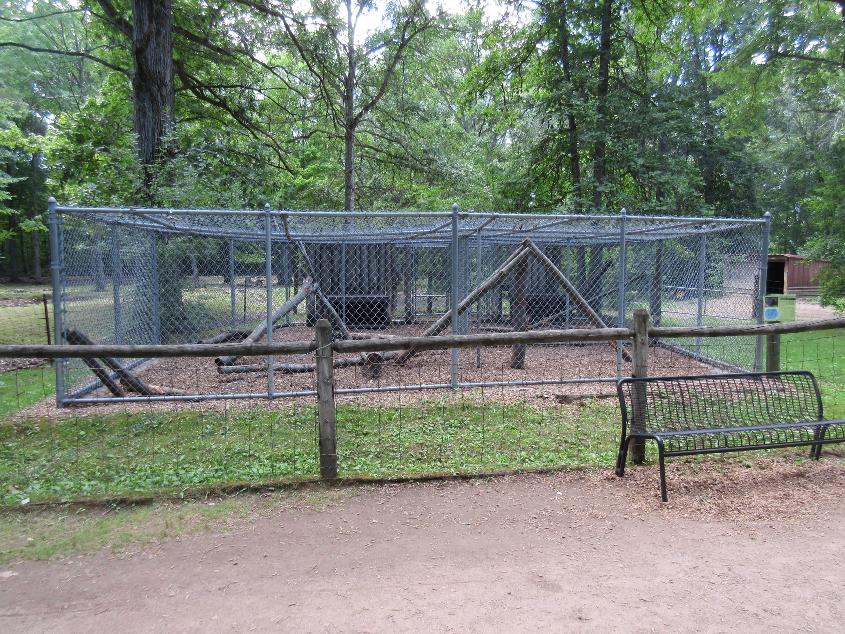 African Crested Porcupine Exhibit