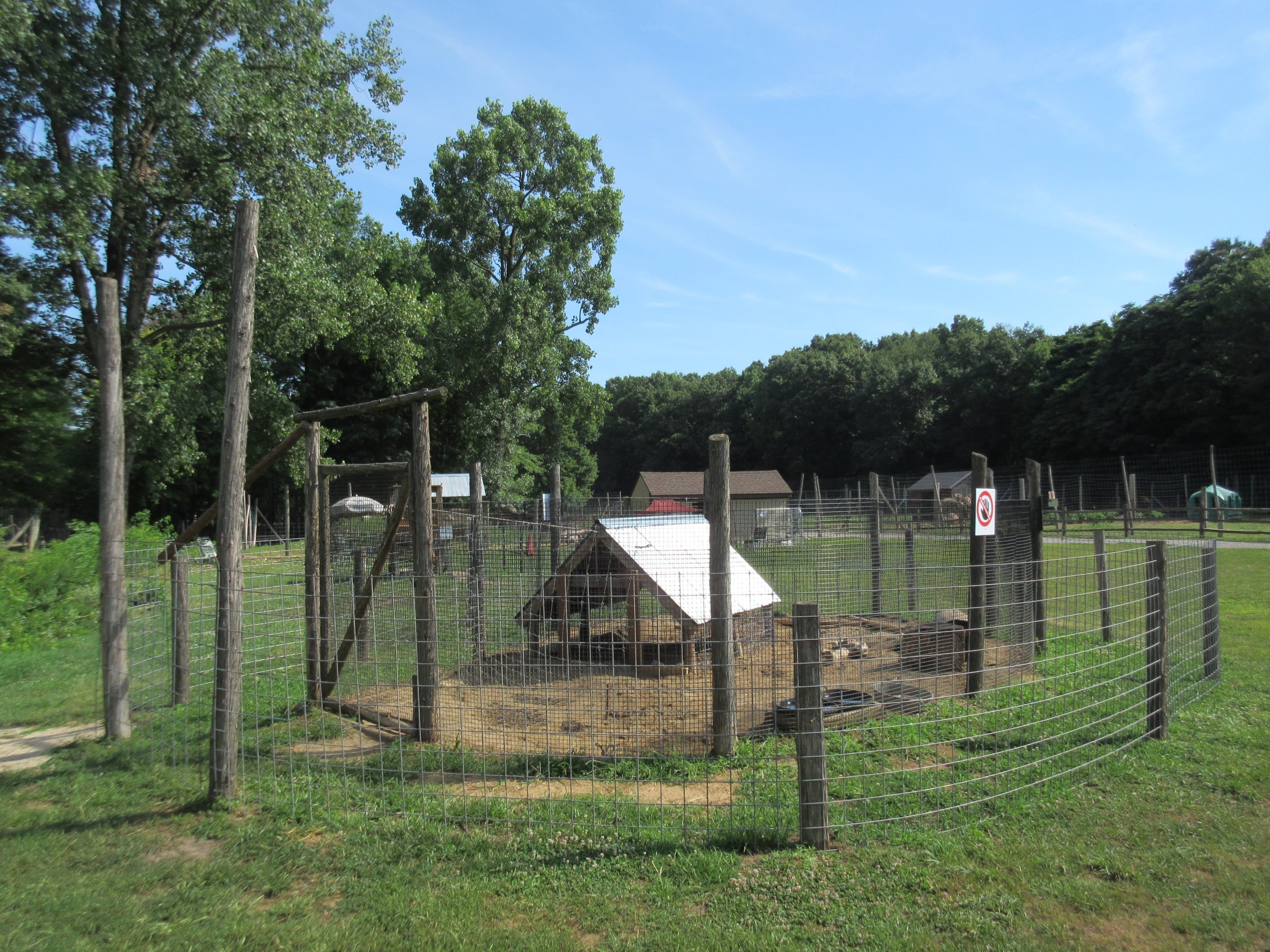 African Crested Porcupine Exhibit