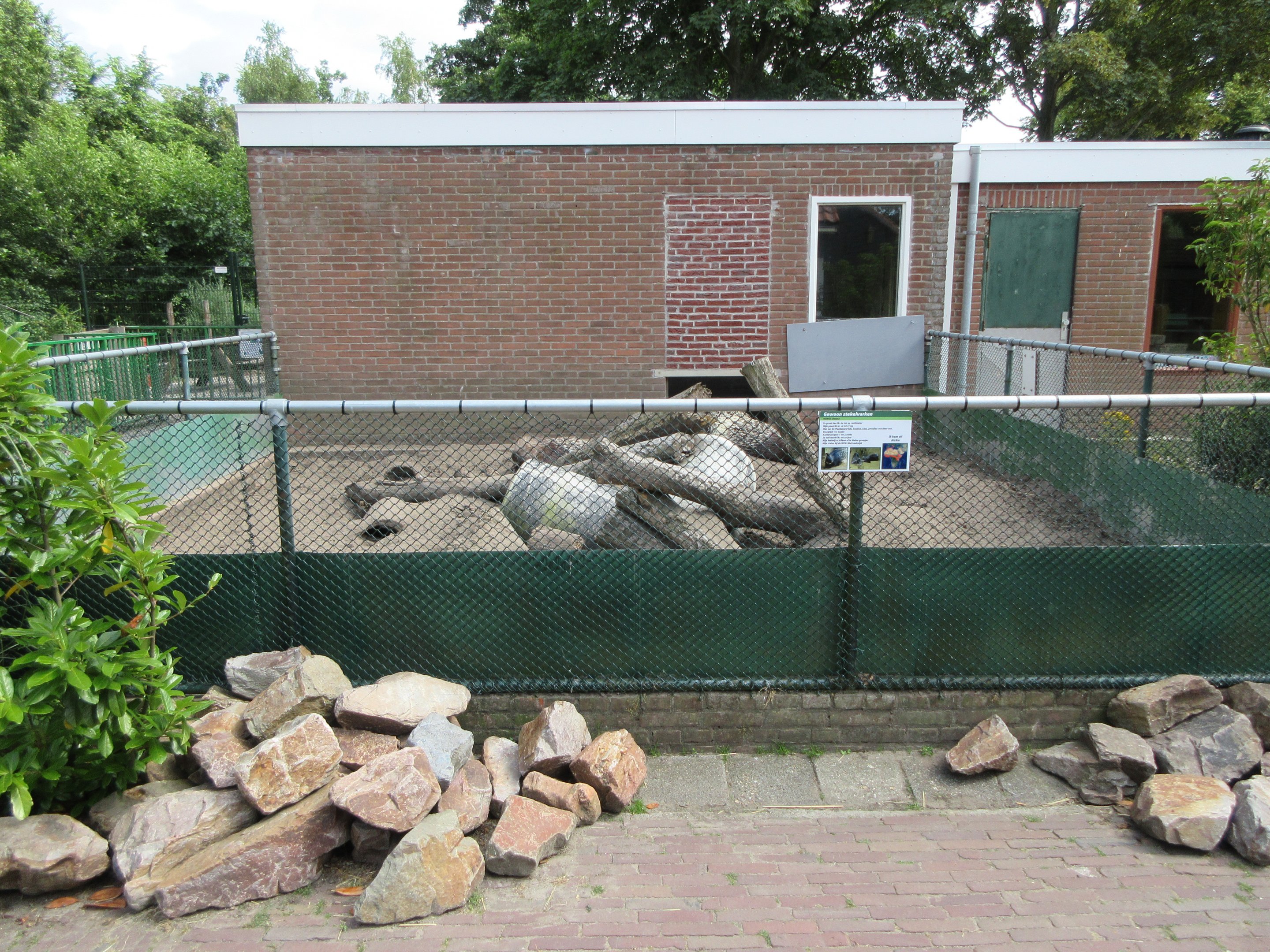 African Crested Porcupine Exhibit