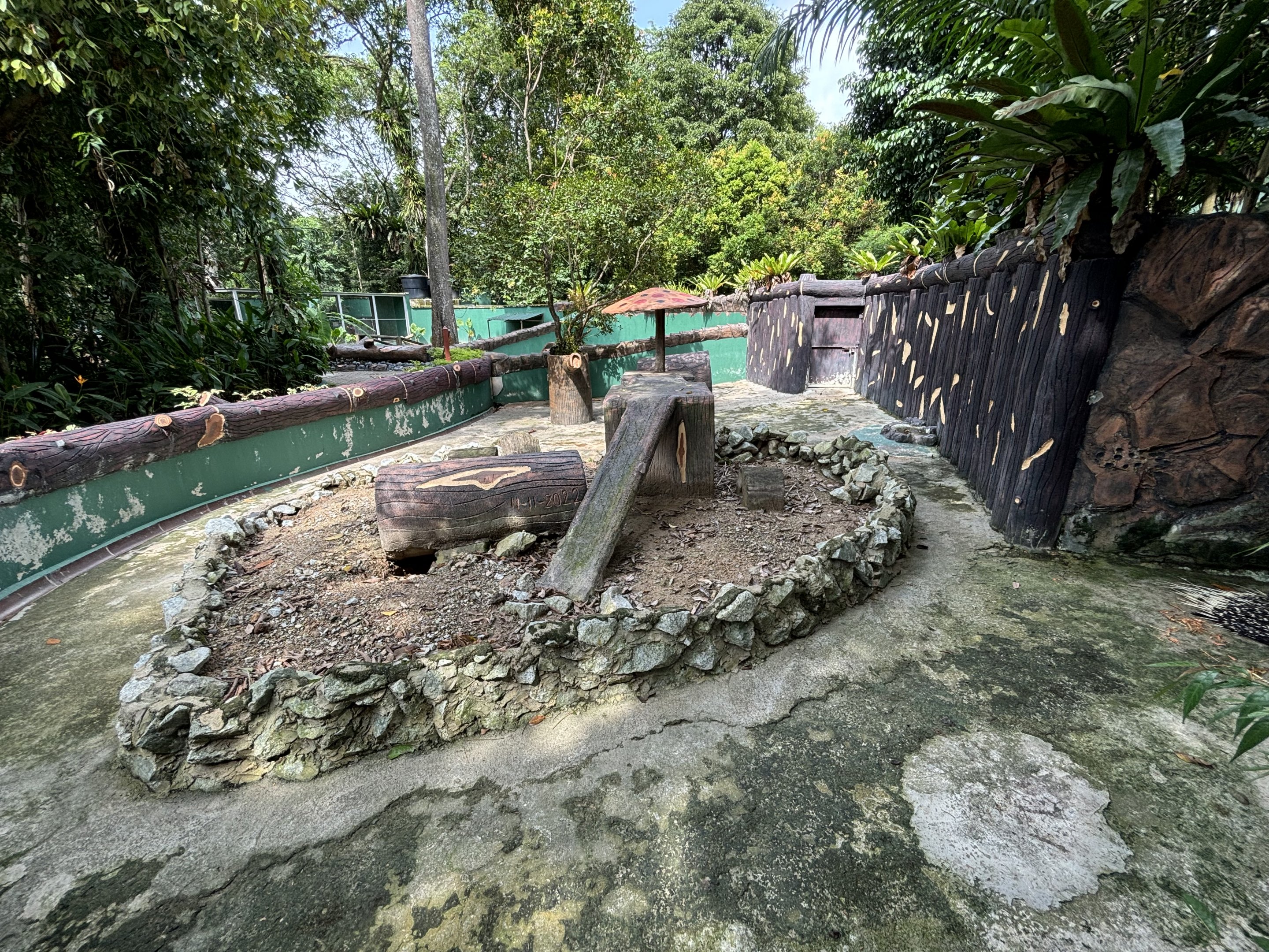 African Crested Porcupine Exhibit