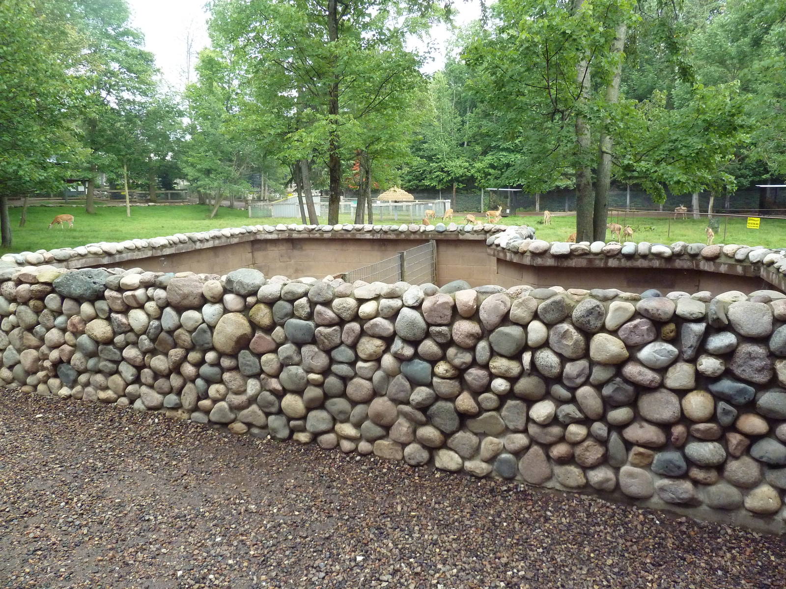 African Crested Porcupine Exhibits