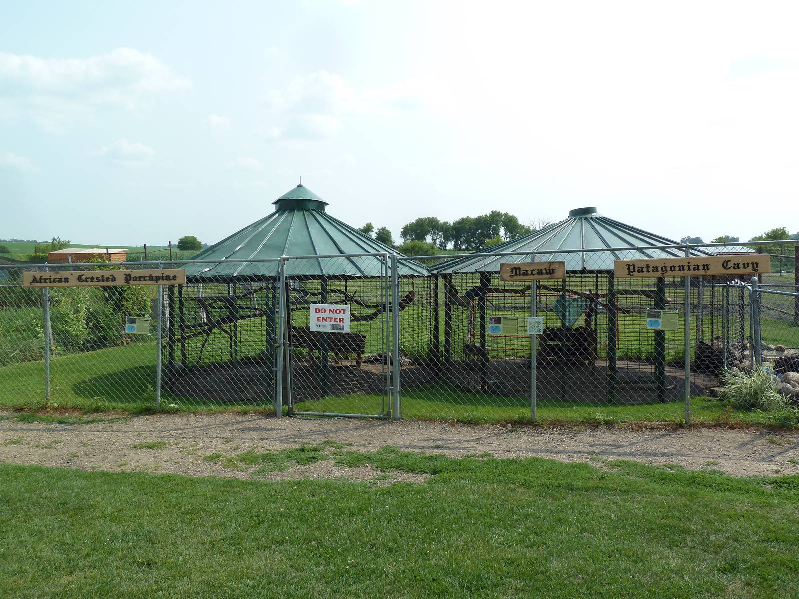 African Crested Porcupine/Mara/Macaw Exhibits