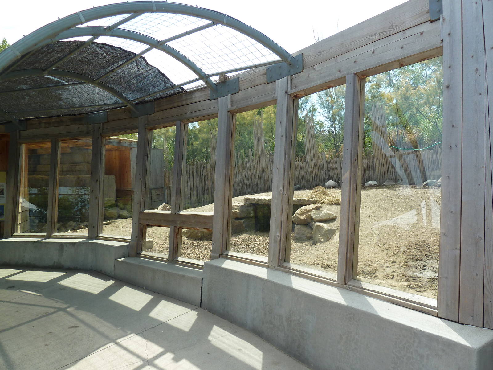 African Crested Porcupine/Warthog Exhibit