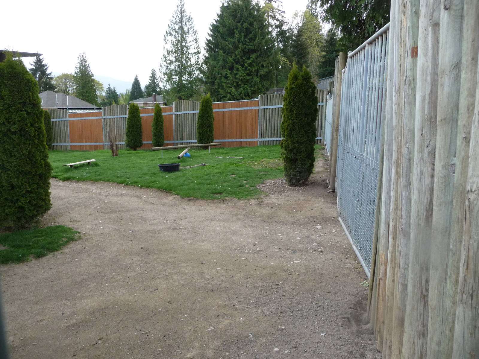 African Crowned Crane Enclosure