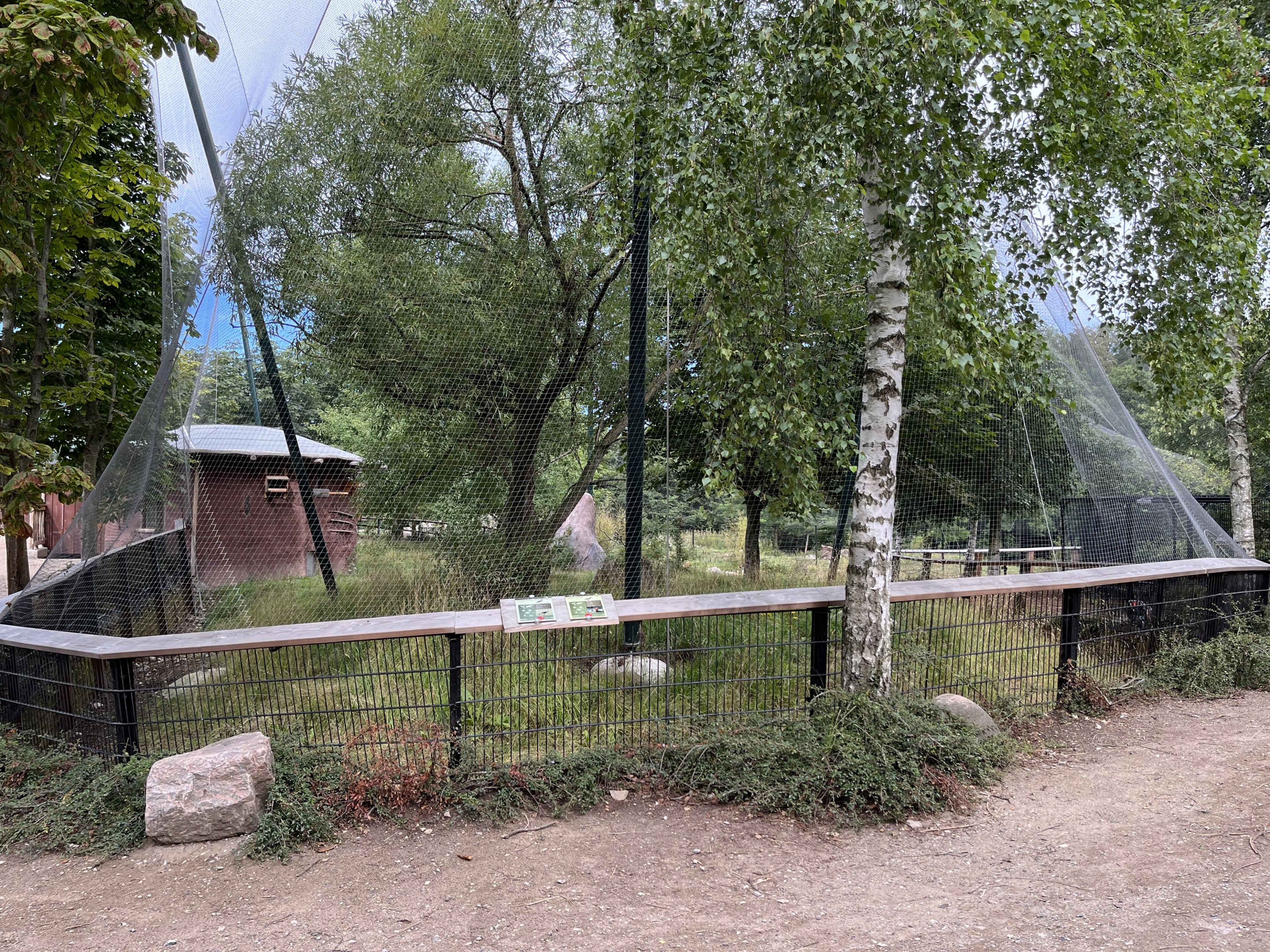 African Crowned Crane/Ground Hornbill Walk Through