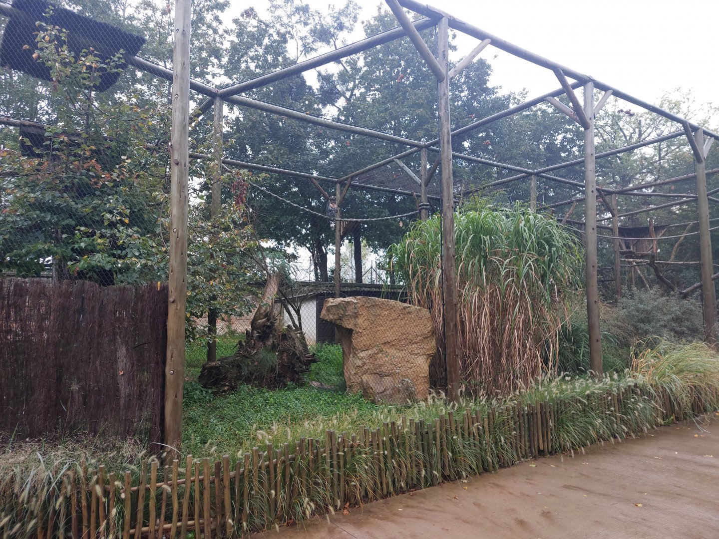 African crowned eagle aviary