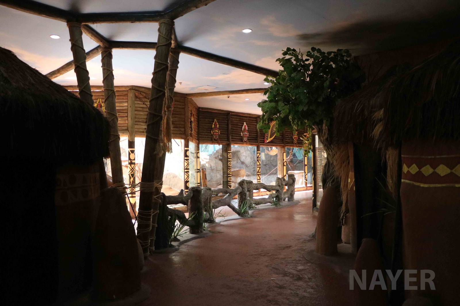 African displays, April 2016