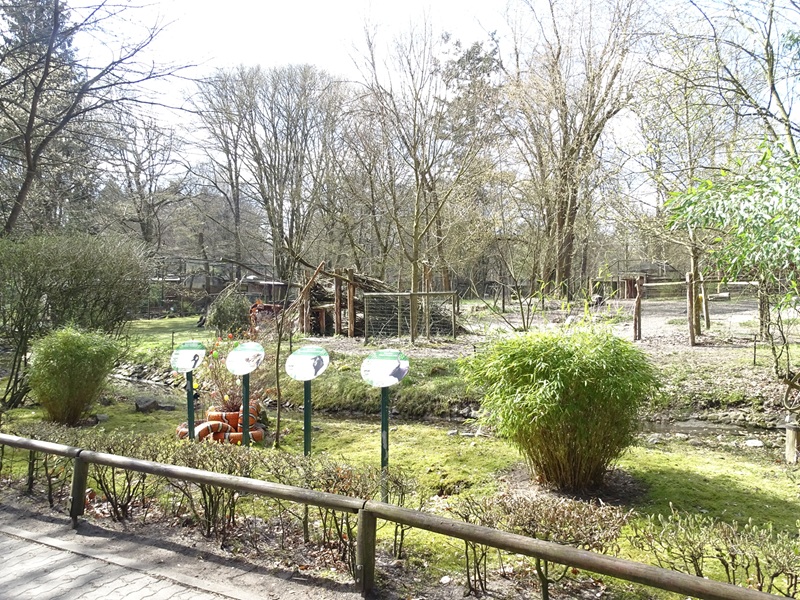 African domestics enclosure