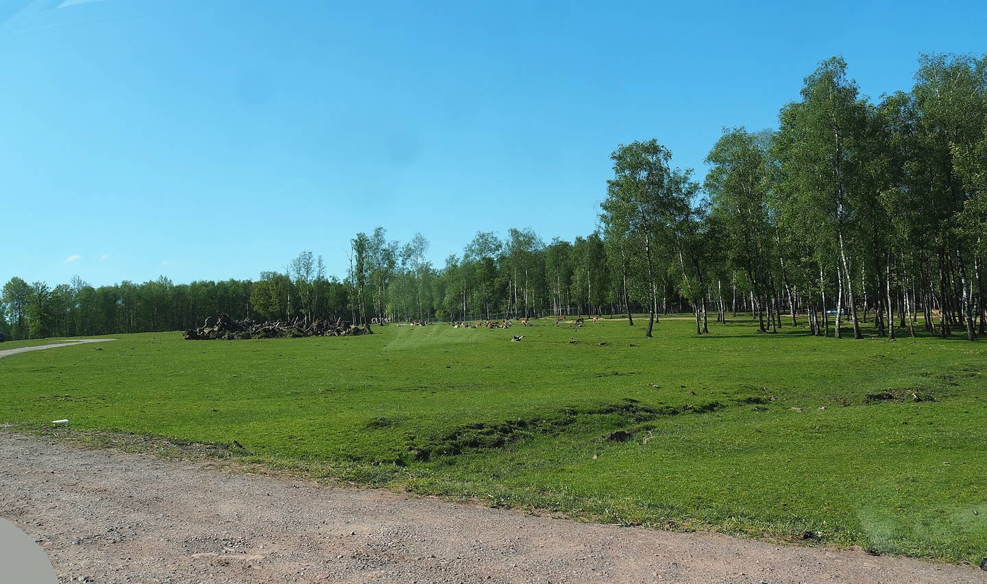 African drive-through safari, 2023-05-19